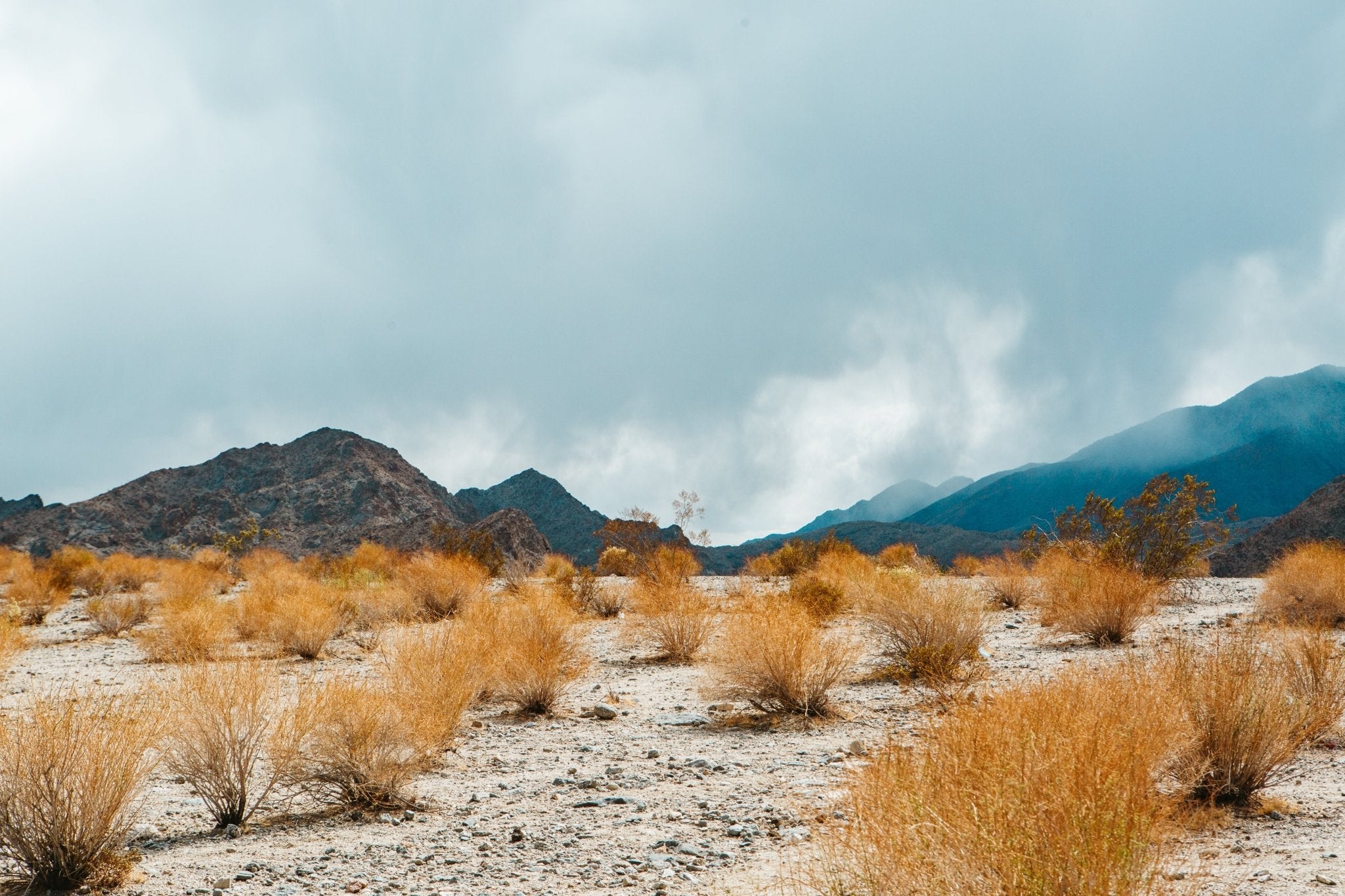 Desert Color, Jules Frazier Fine Art Photograph
