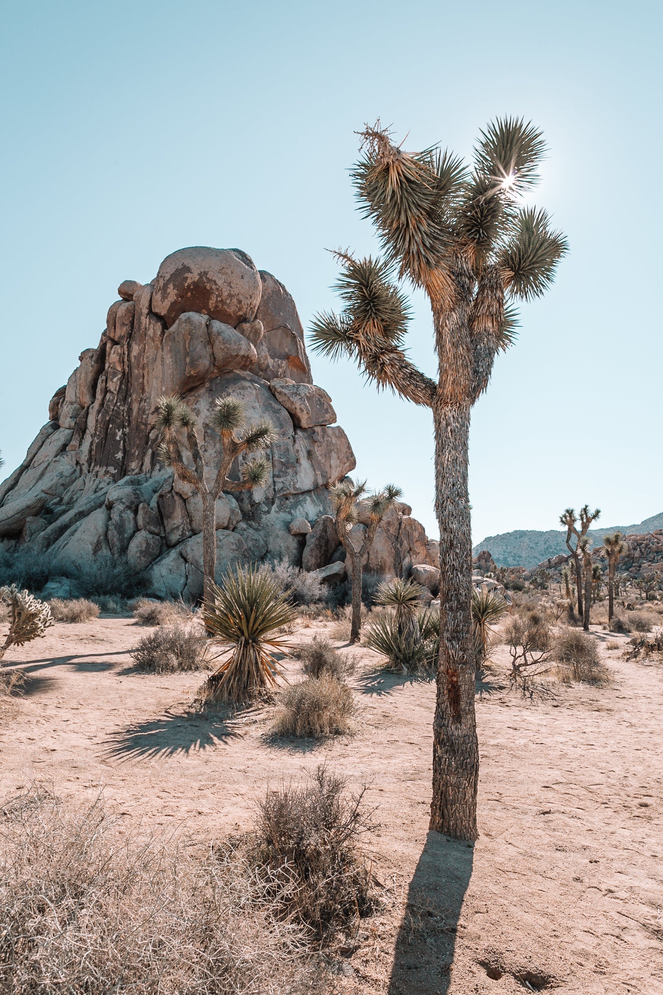 Hideout, Jules Frazier Fine Art Photograph