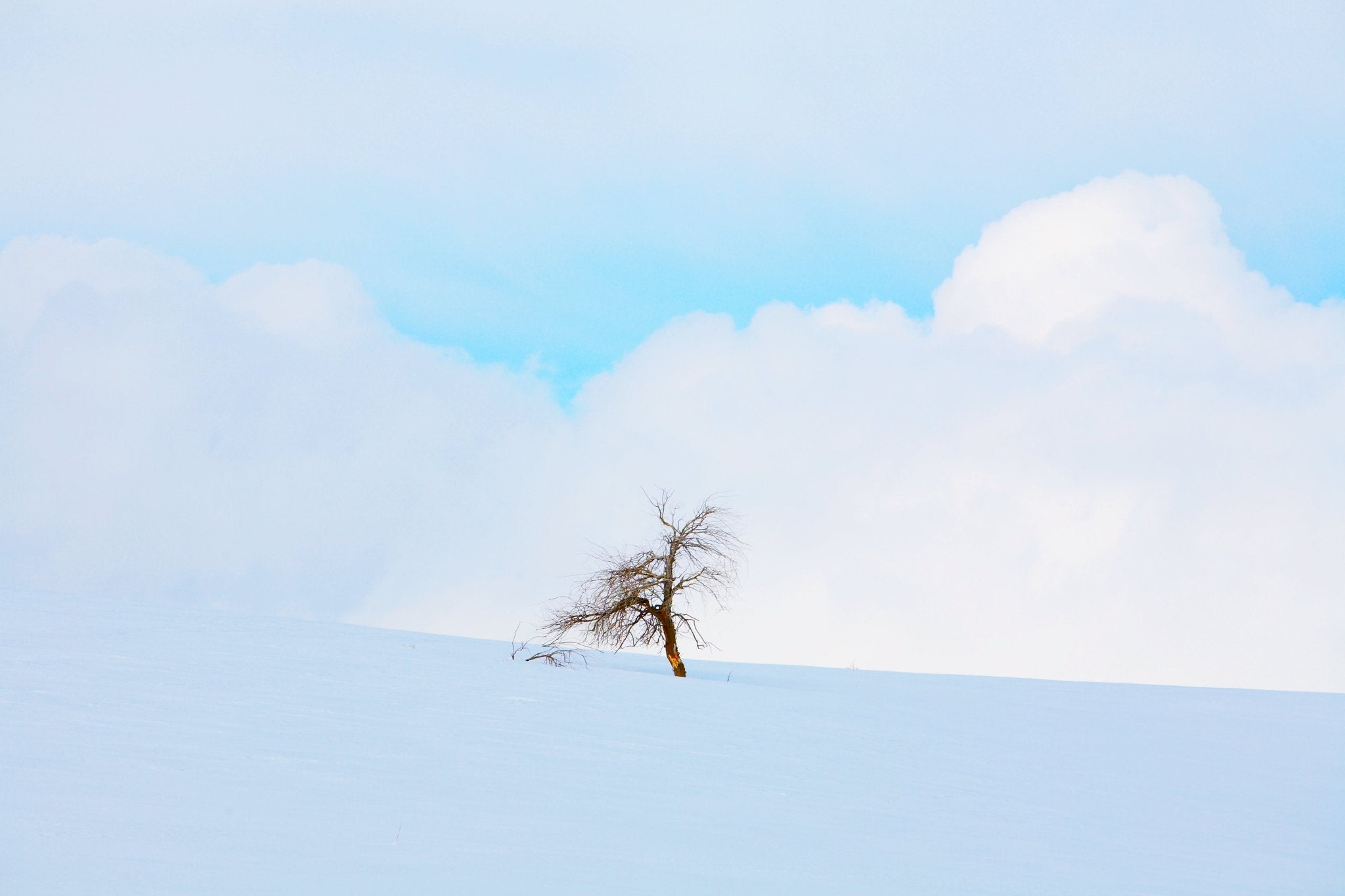 Hill City Homestead, Jules Frazier Fine Art Photograph
