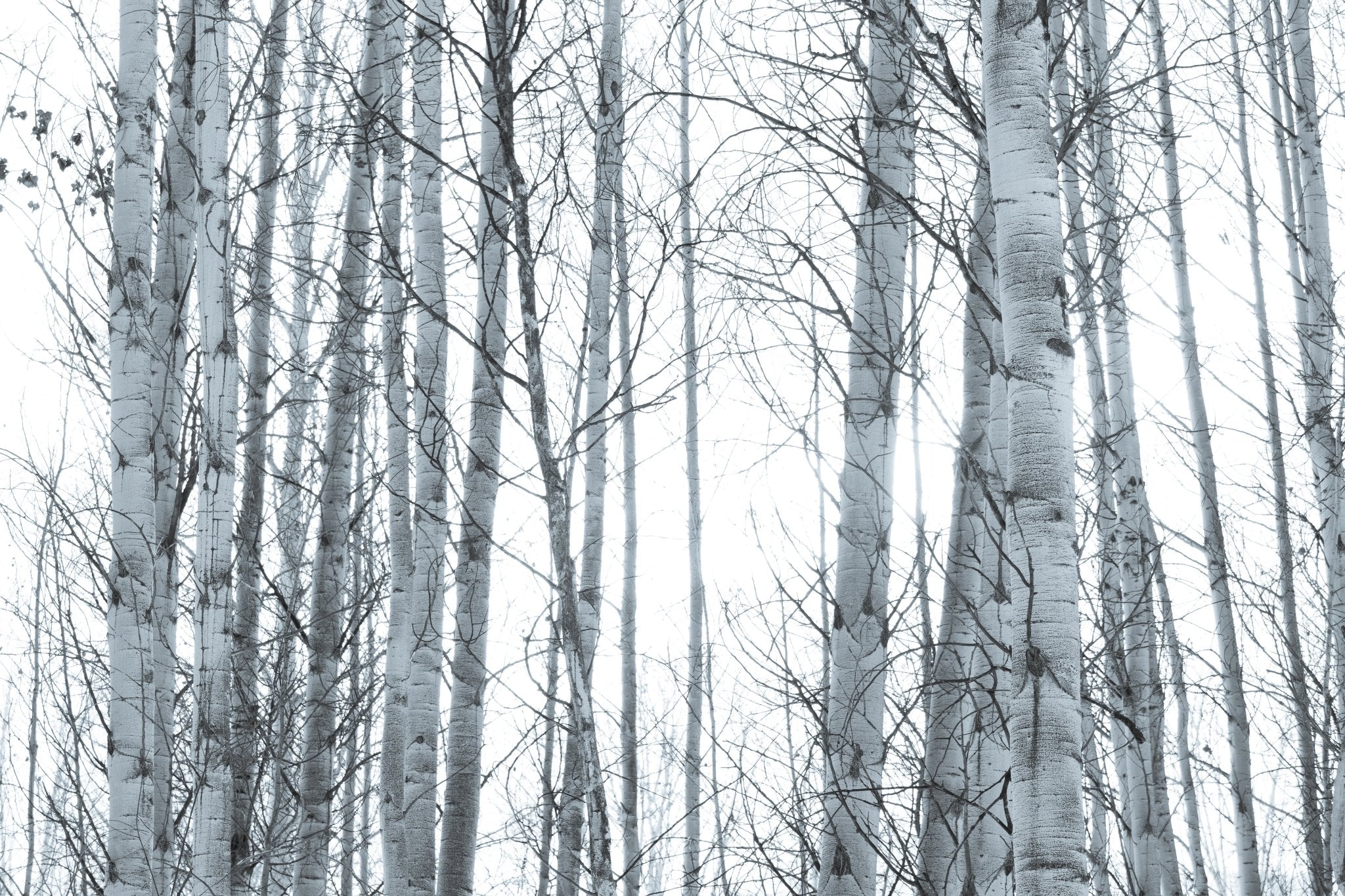 In Your Eyes, Jules Frazier Fine Art Photograph