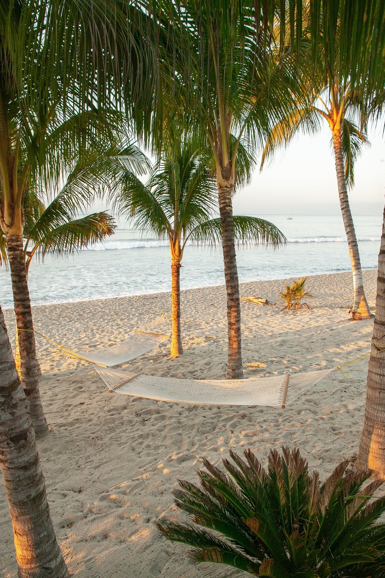 Margaritaville, Jules Frazier Fine Art Photograph