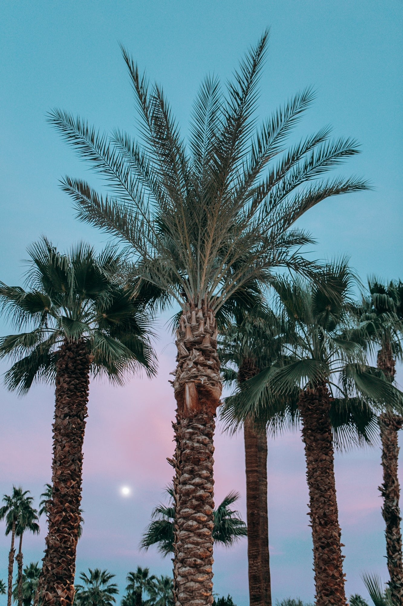 Moonrise, Jules Frazier Fine Art Photograph