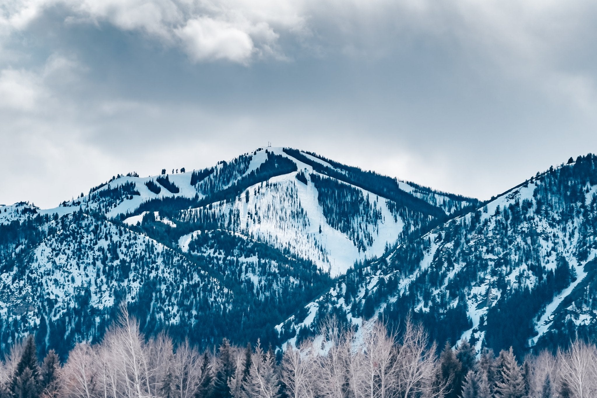 Mountain Love, Jules Frazier Fine Art Photograph