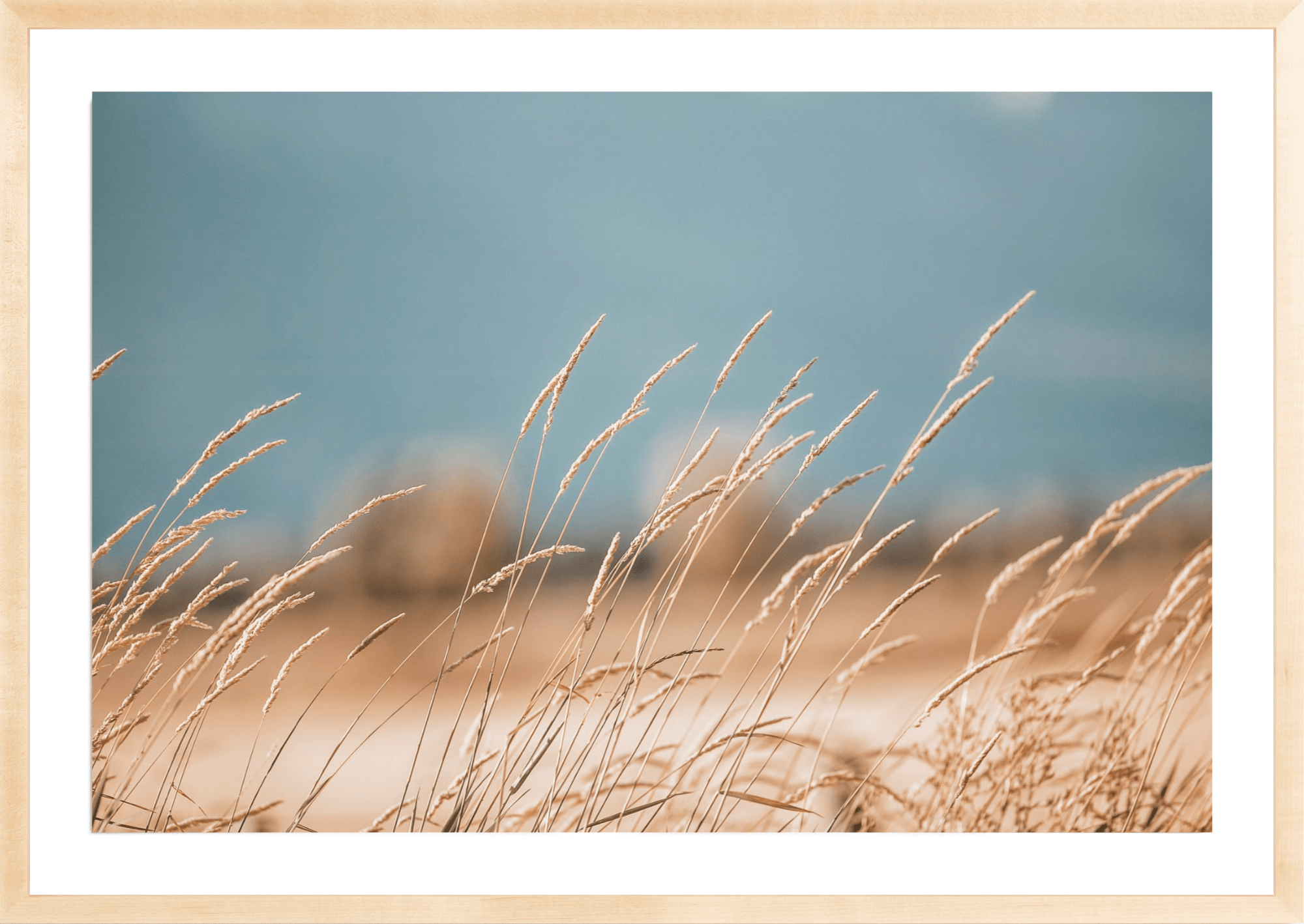 Grass of Yellowstone, Jules Frazier Fine Art Photograph