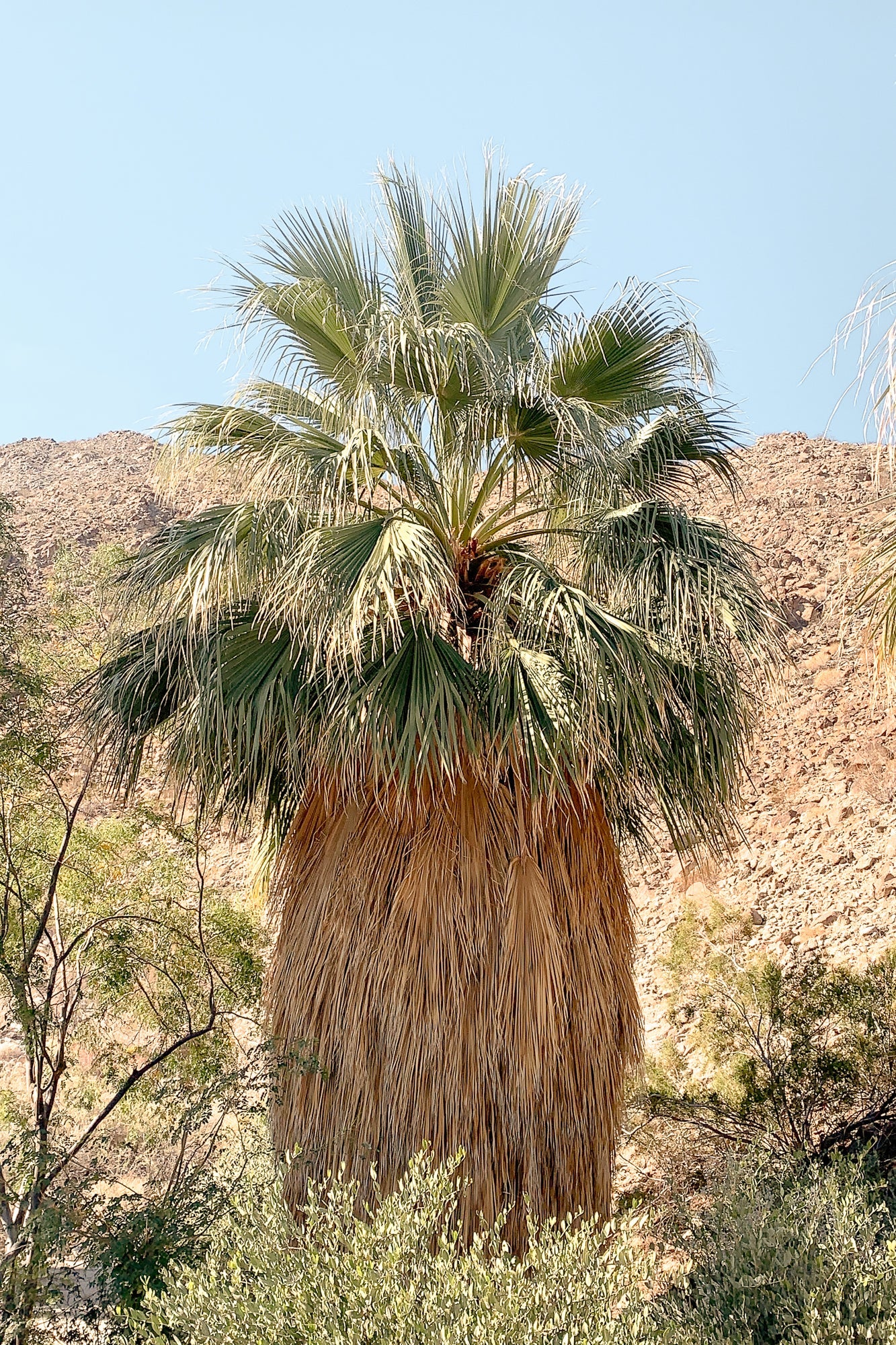 Old Man, Jules Frazier Fine Art Photograph