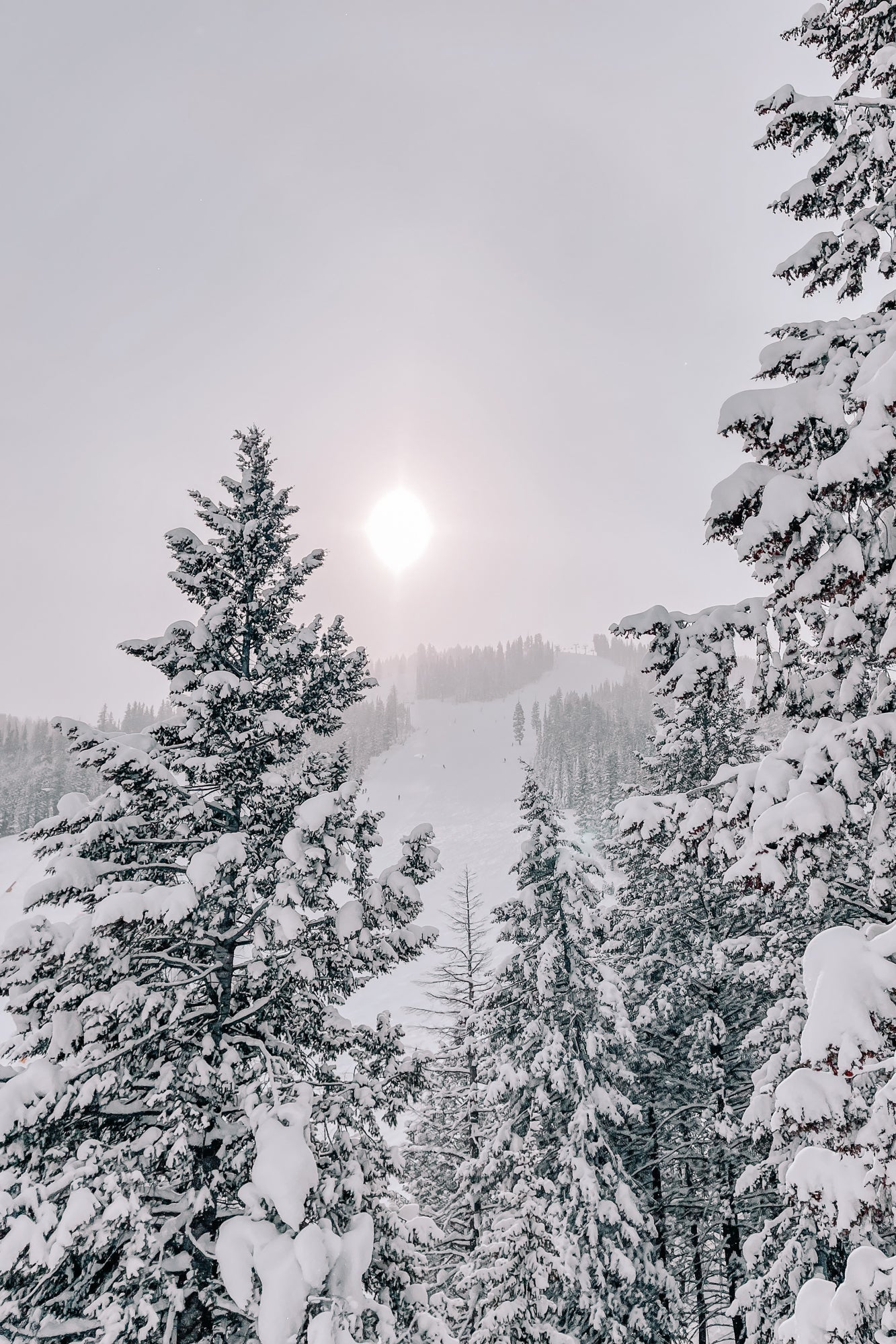 Seattle Ridge, Jules Frazier Fine Art Photograph