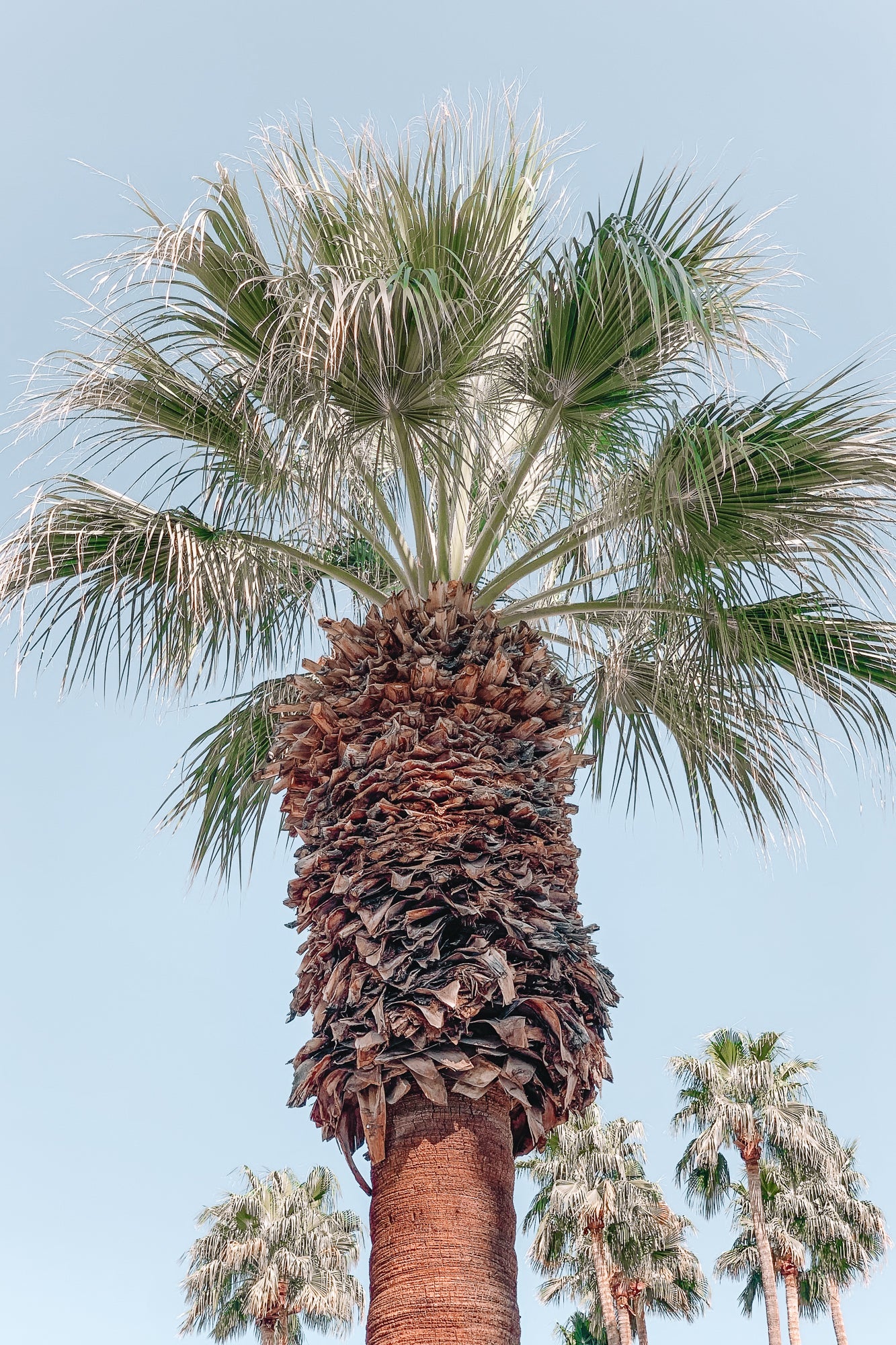 Symmetry, Jules Frazier Fine Art Photograph