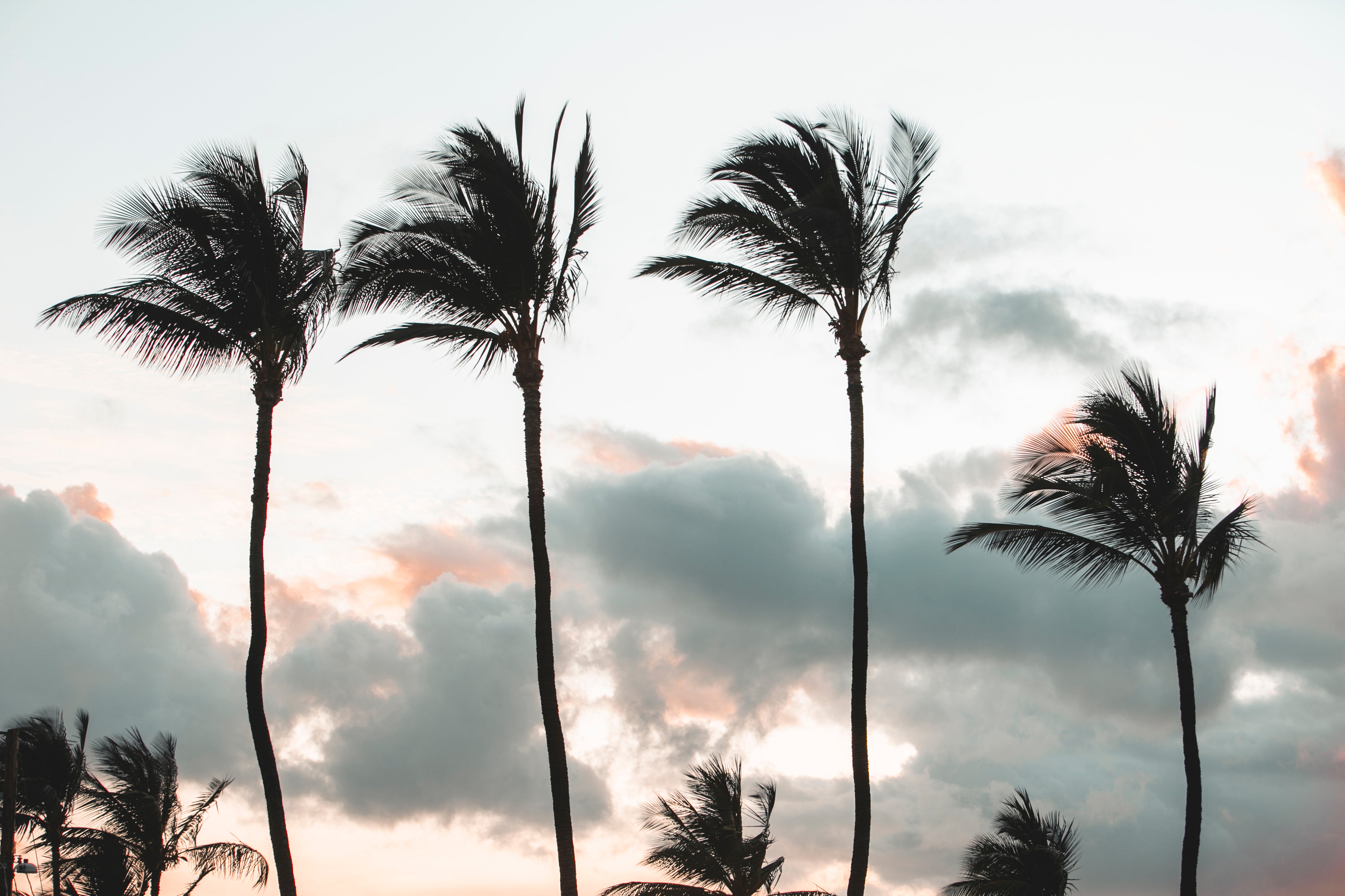 Tradewinds, Jules Frazier Fine Art Photograph