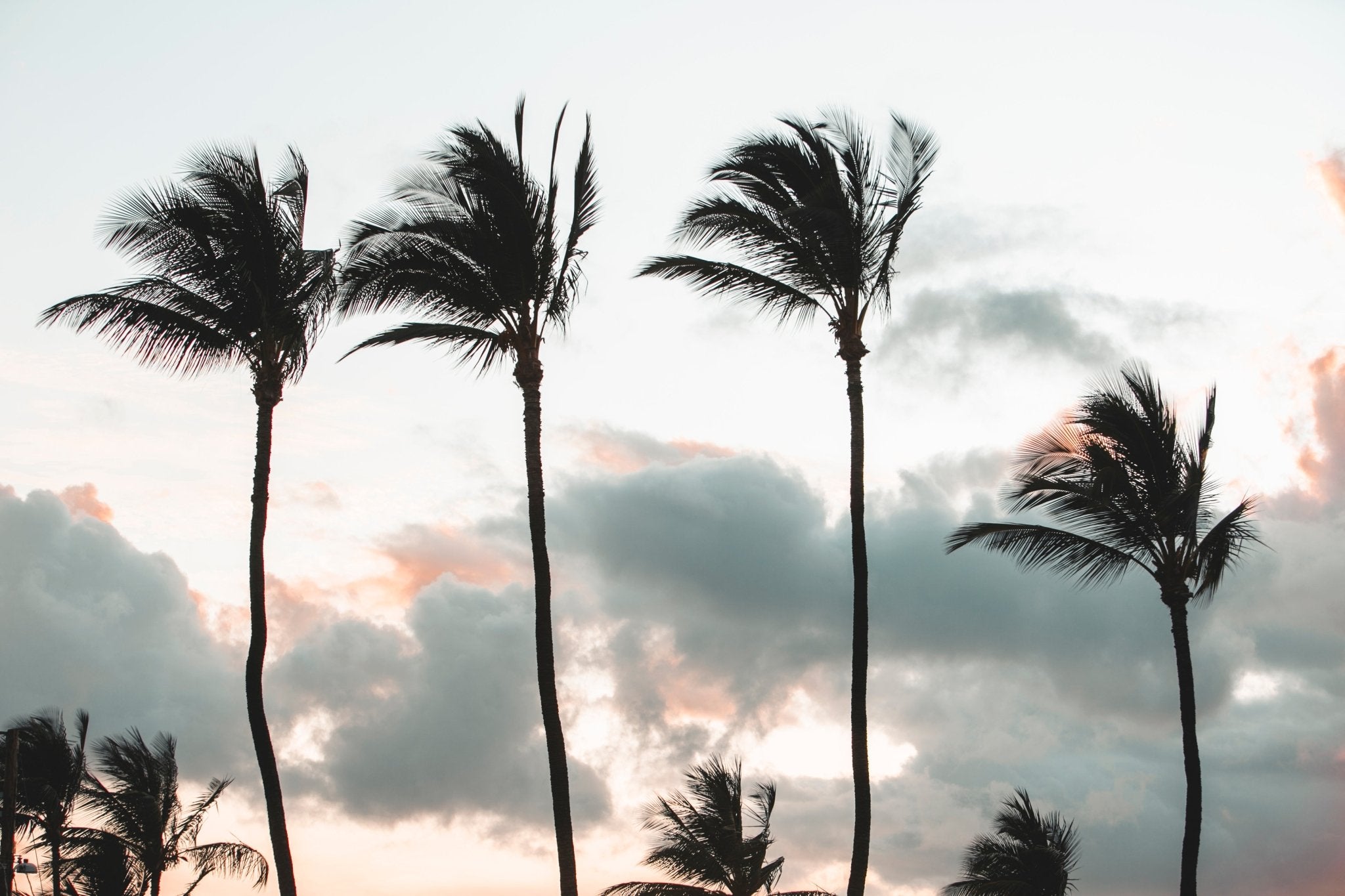 Tradewinds, Jules Frazier Fine Art Photograph