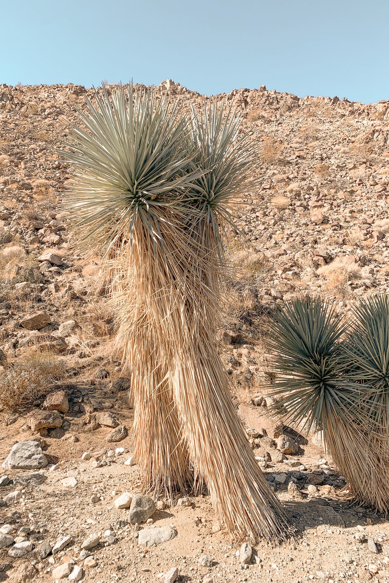 Walk This Way, Jules Frazier Fine Art Photograph