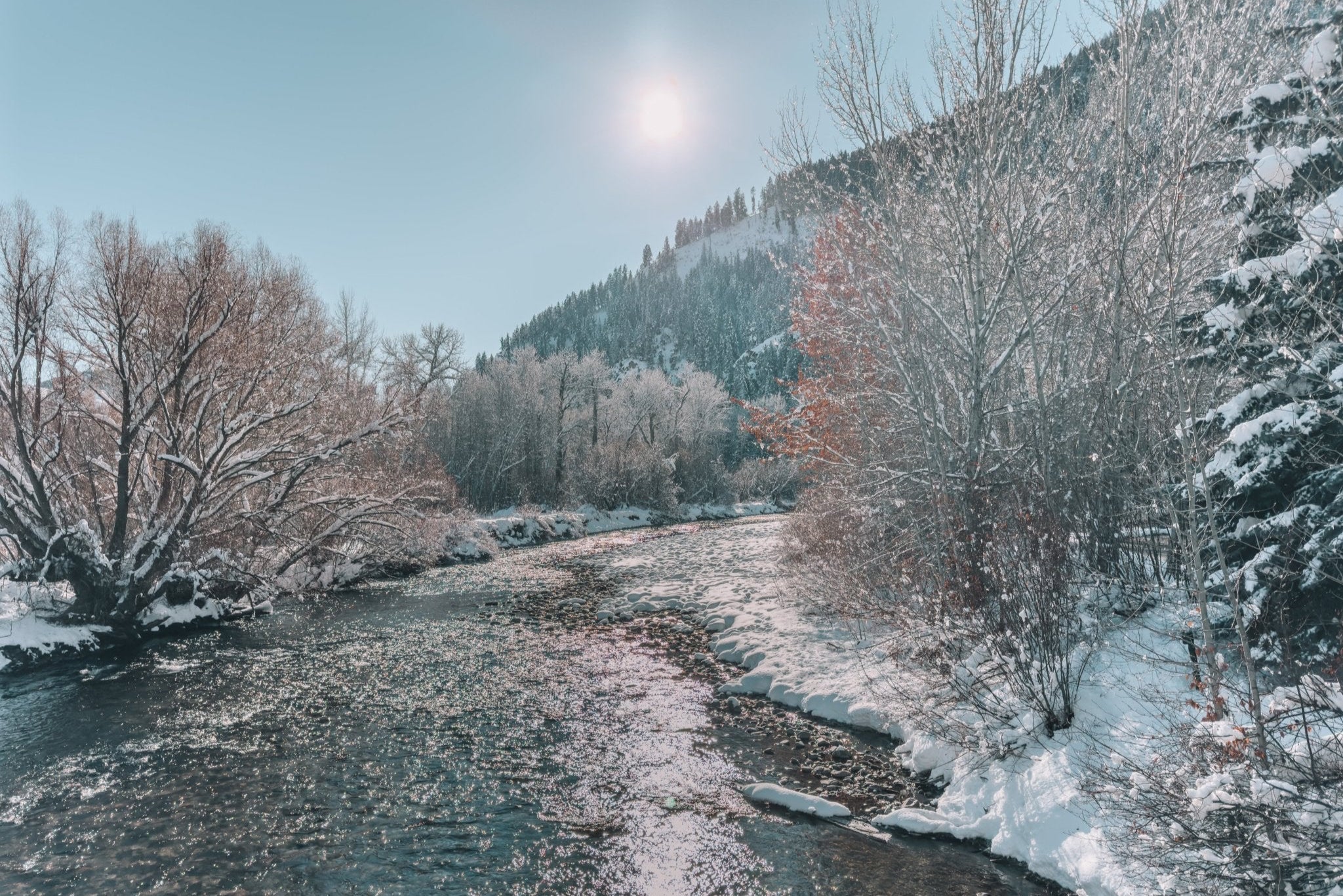 Idaho