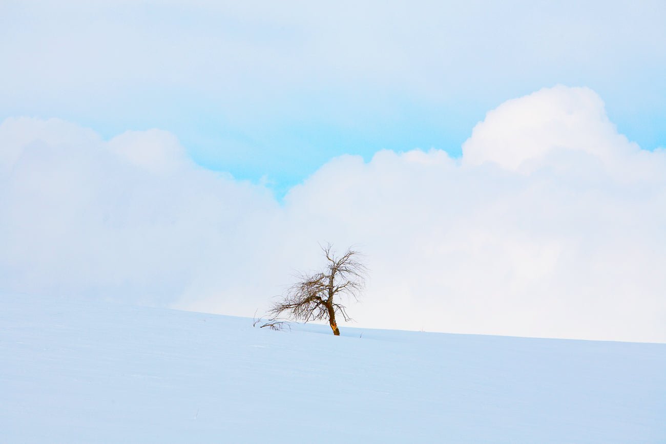 Idaho - Jules Frazier Fine Art Photographs