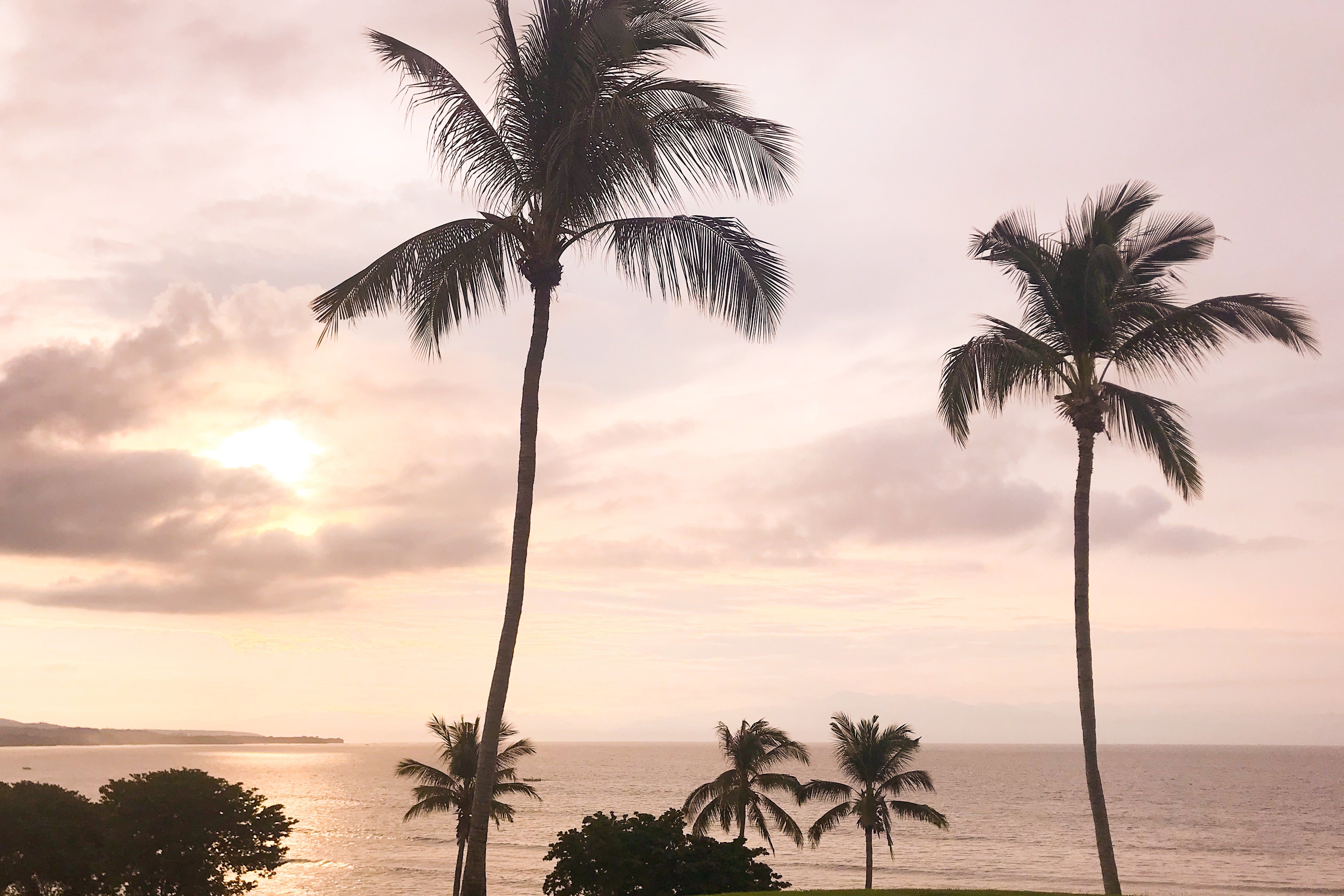 TROPICAL - Jules Frazier Fine Art Photographs