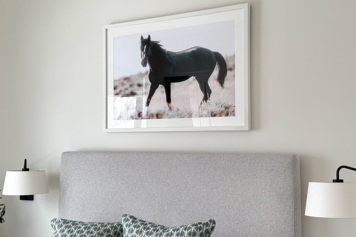 Black_Stallion-Sun_Valley-in_home - Jules Frazier Fine Art Photographs