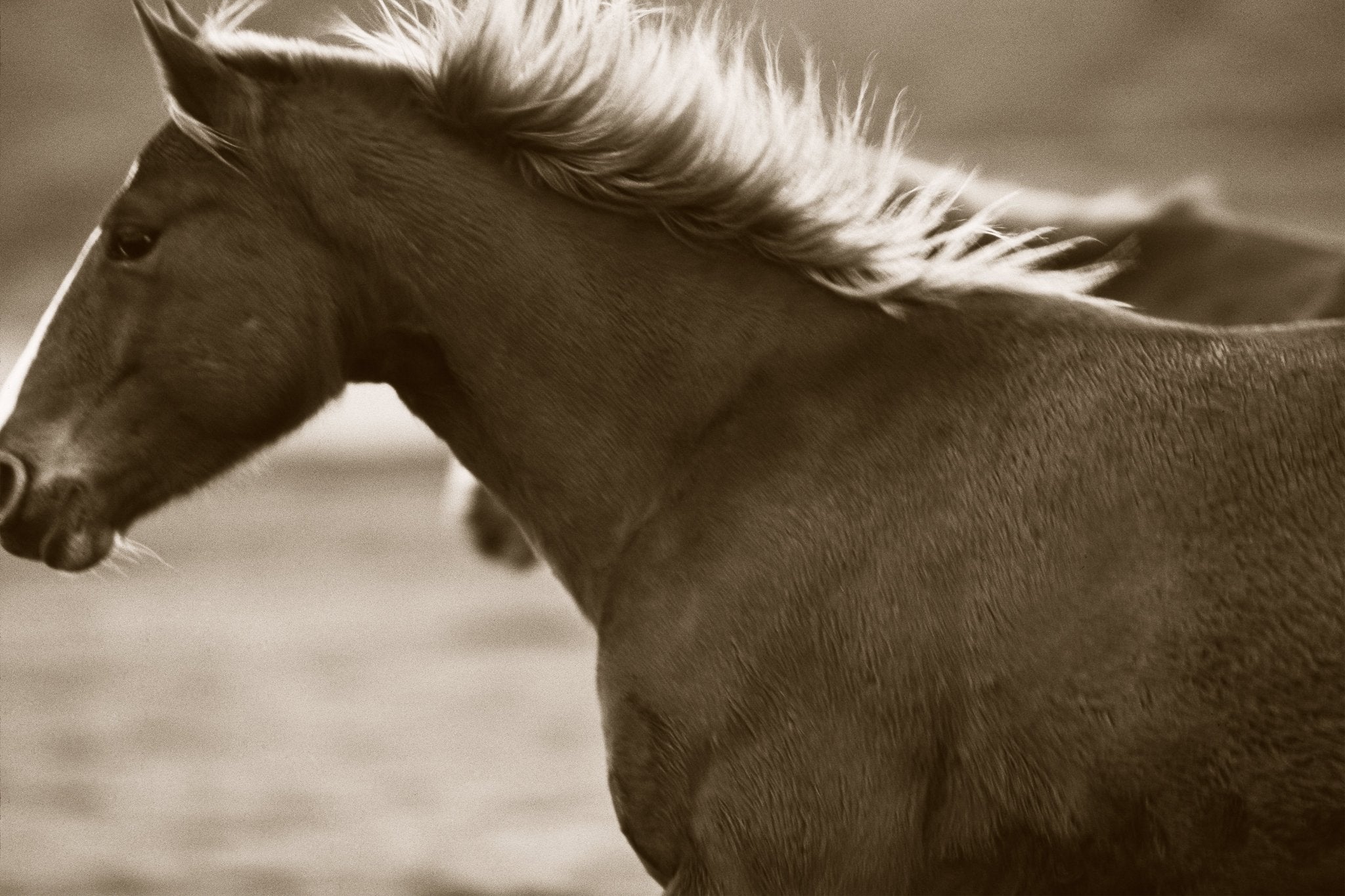  - Jules Frazier Fine Art Photographs