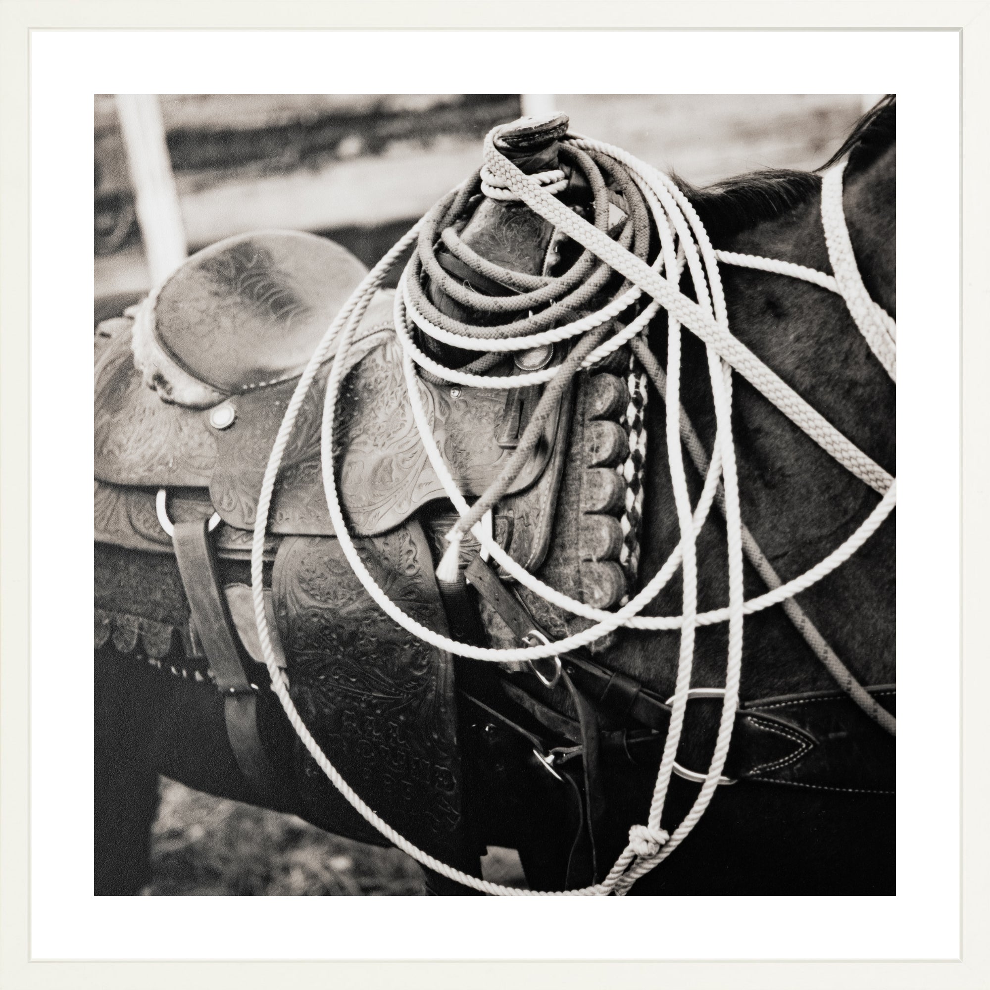  - Jules Frazier Fine Art Photographs