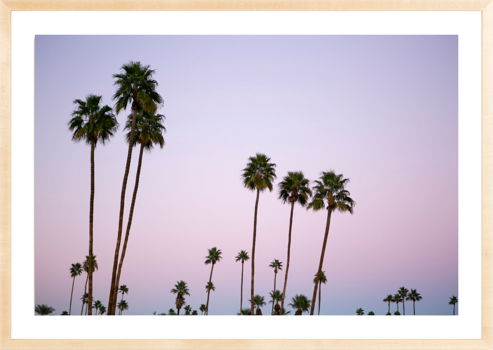 California Dreamin, Jules Frazier Fine Art Photograph