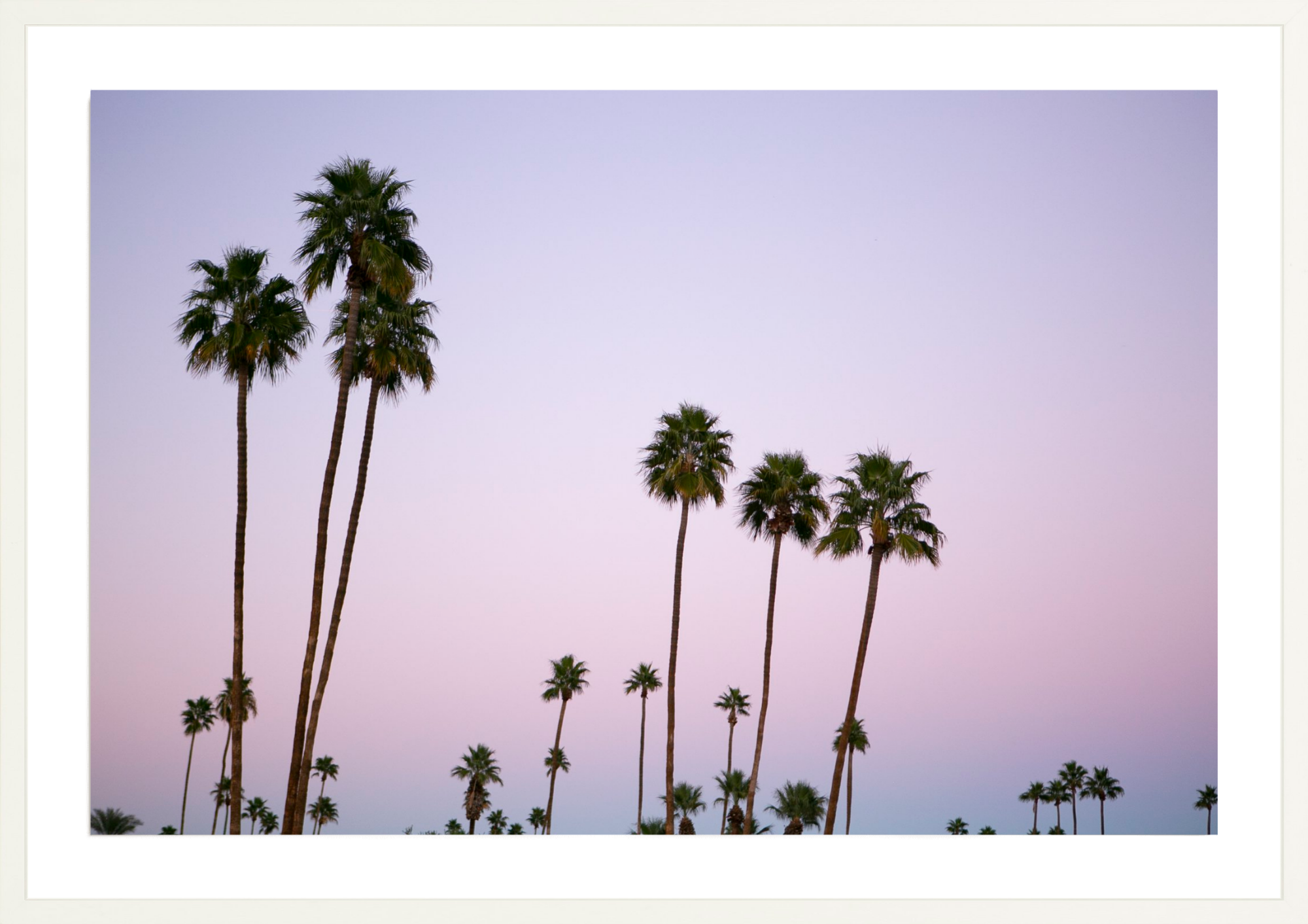 California Dreamin, Jules Frazier Fine Art Photograph