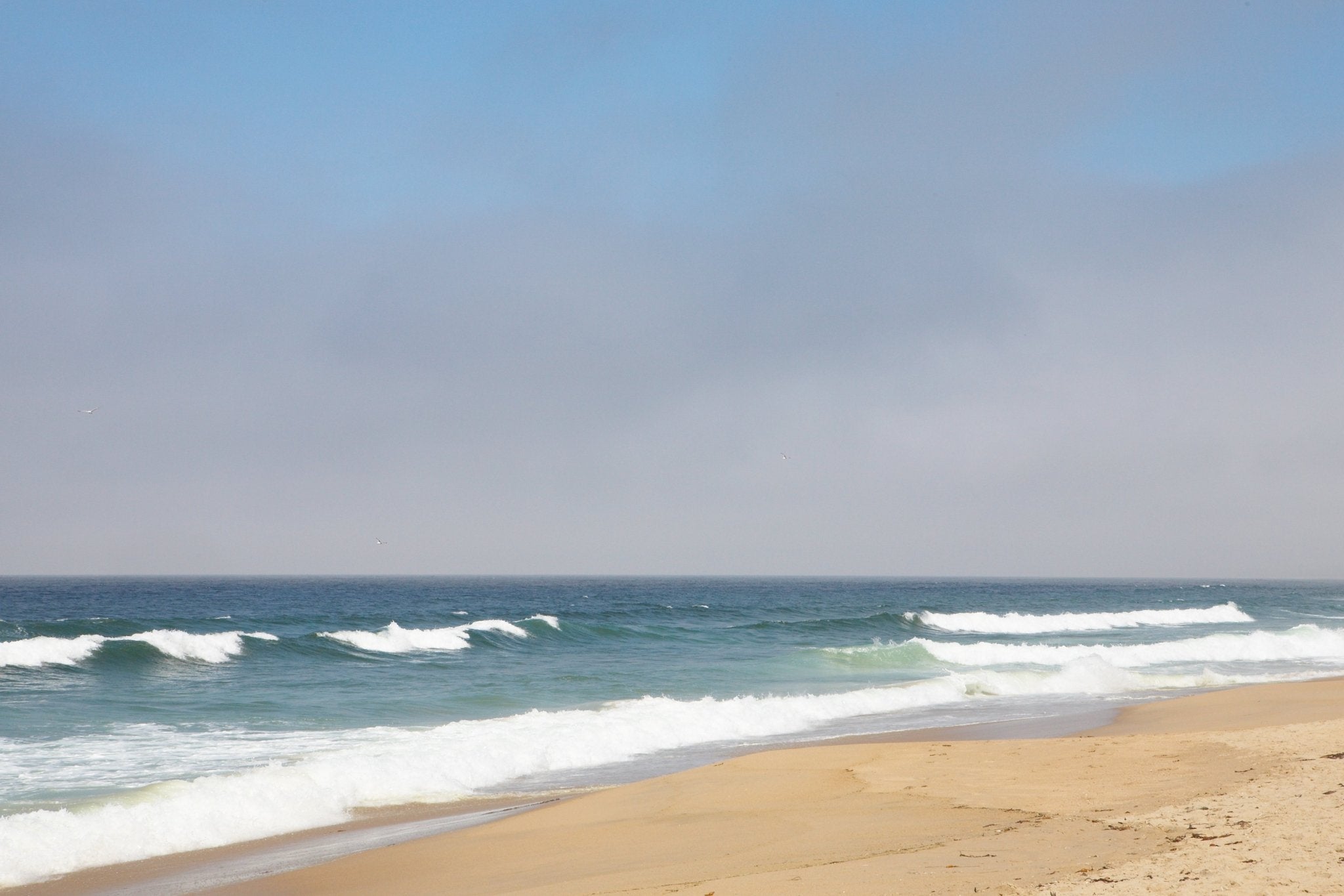 Carmel Waves