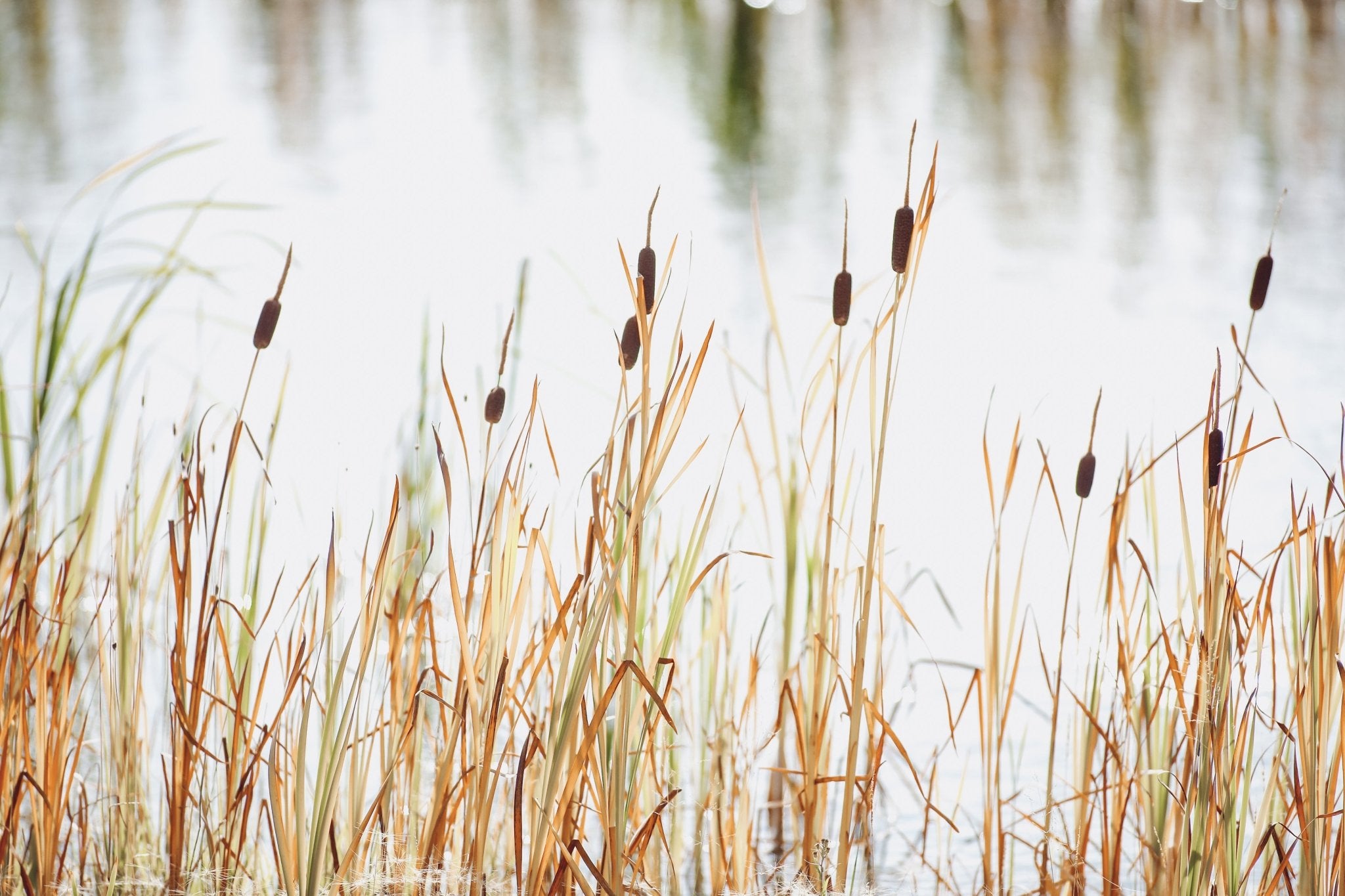  - Jules Frazier Fine Art Photographs