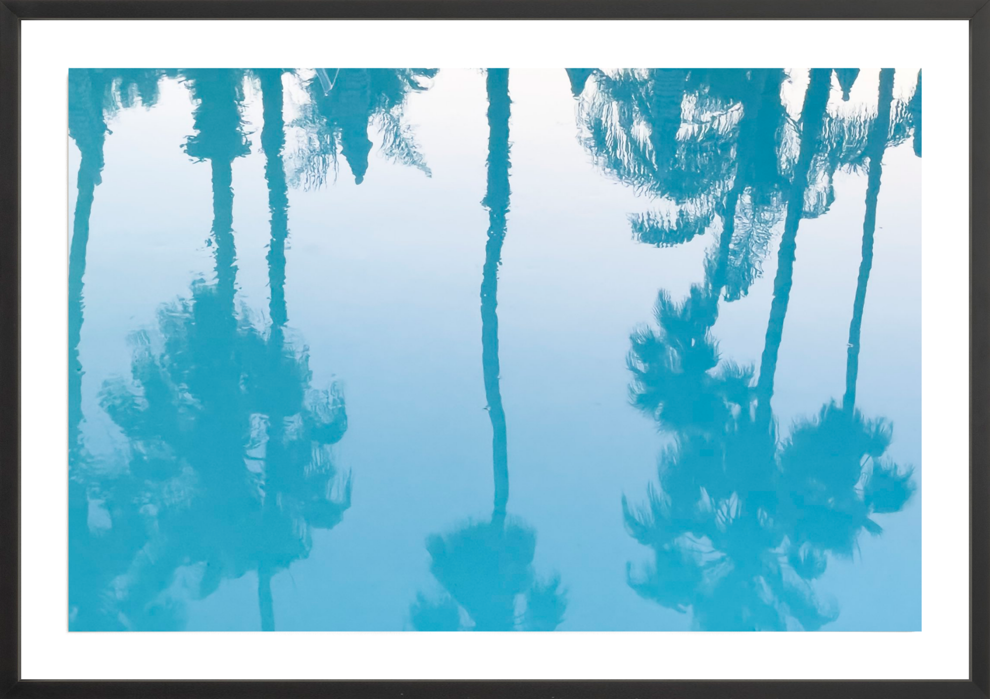 Colony Pool Palms, Jules Frazier Fine Art Photograph