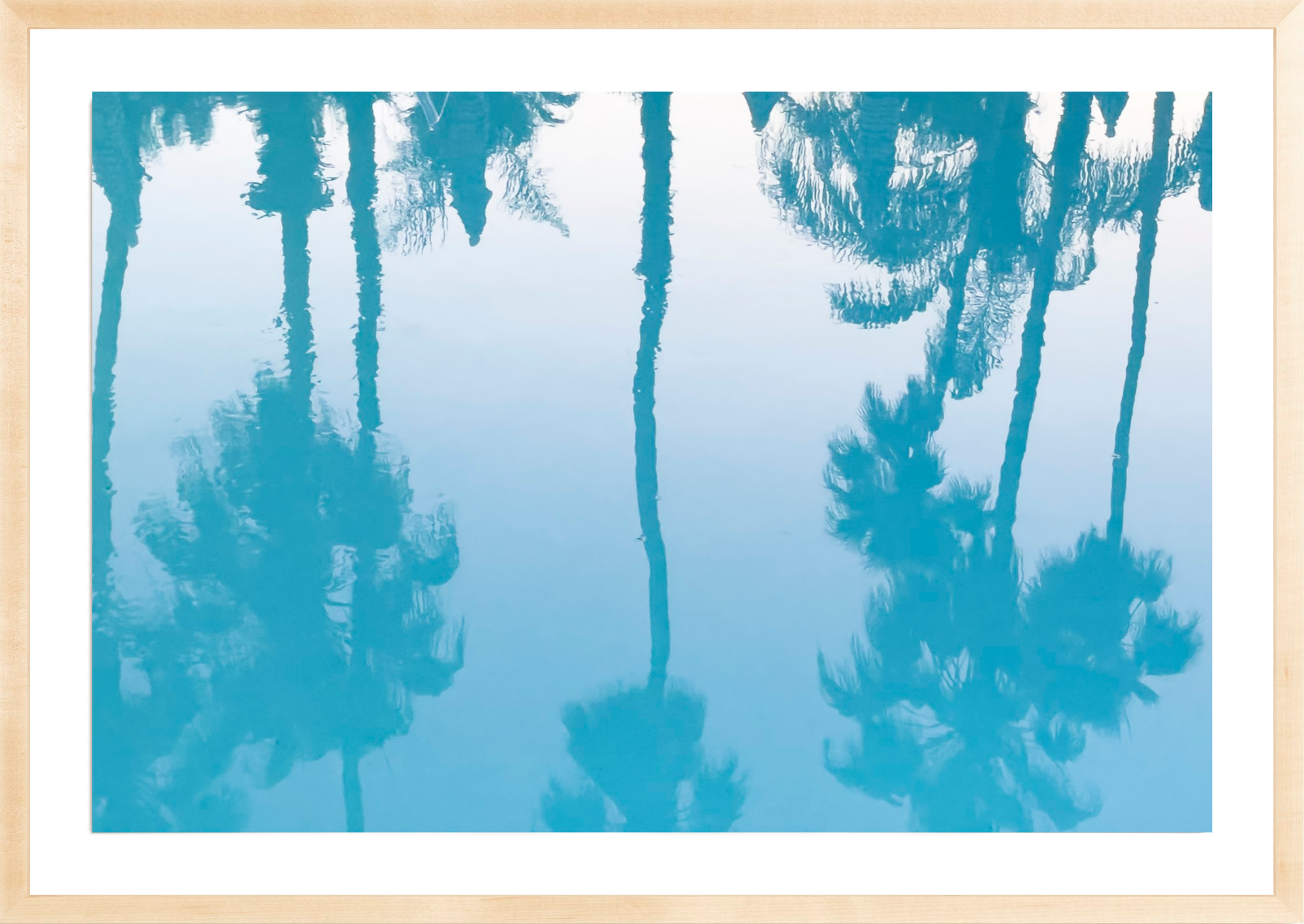 Colony Pool Palms, Jules Frazier Fine Art Photograph