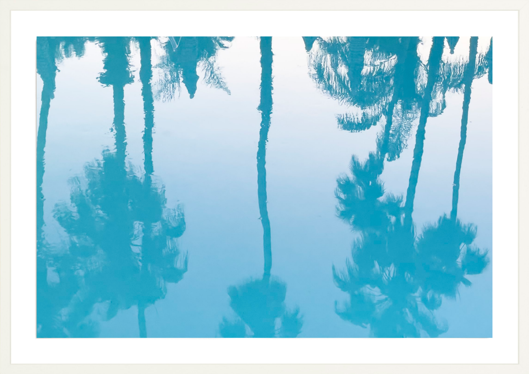 Colony Pool Palms, Jules Frazier Fine Art Photograph
