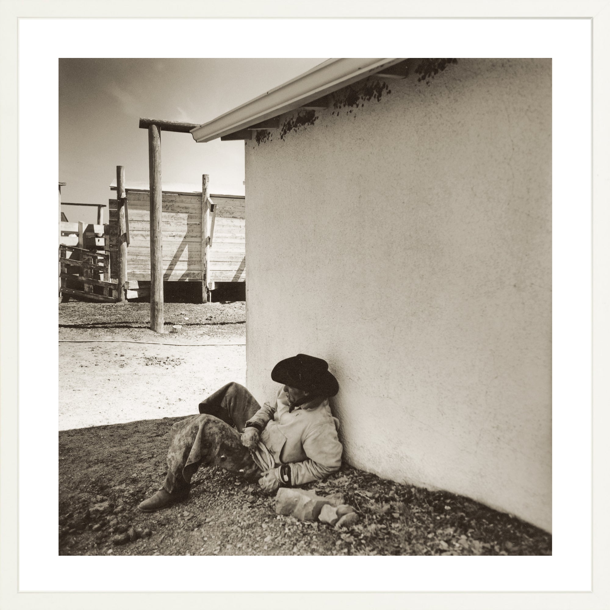  - Jules Frazier Fine Art Photographs