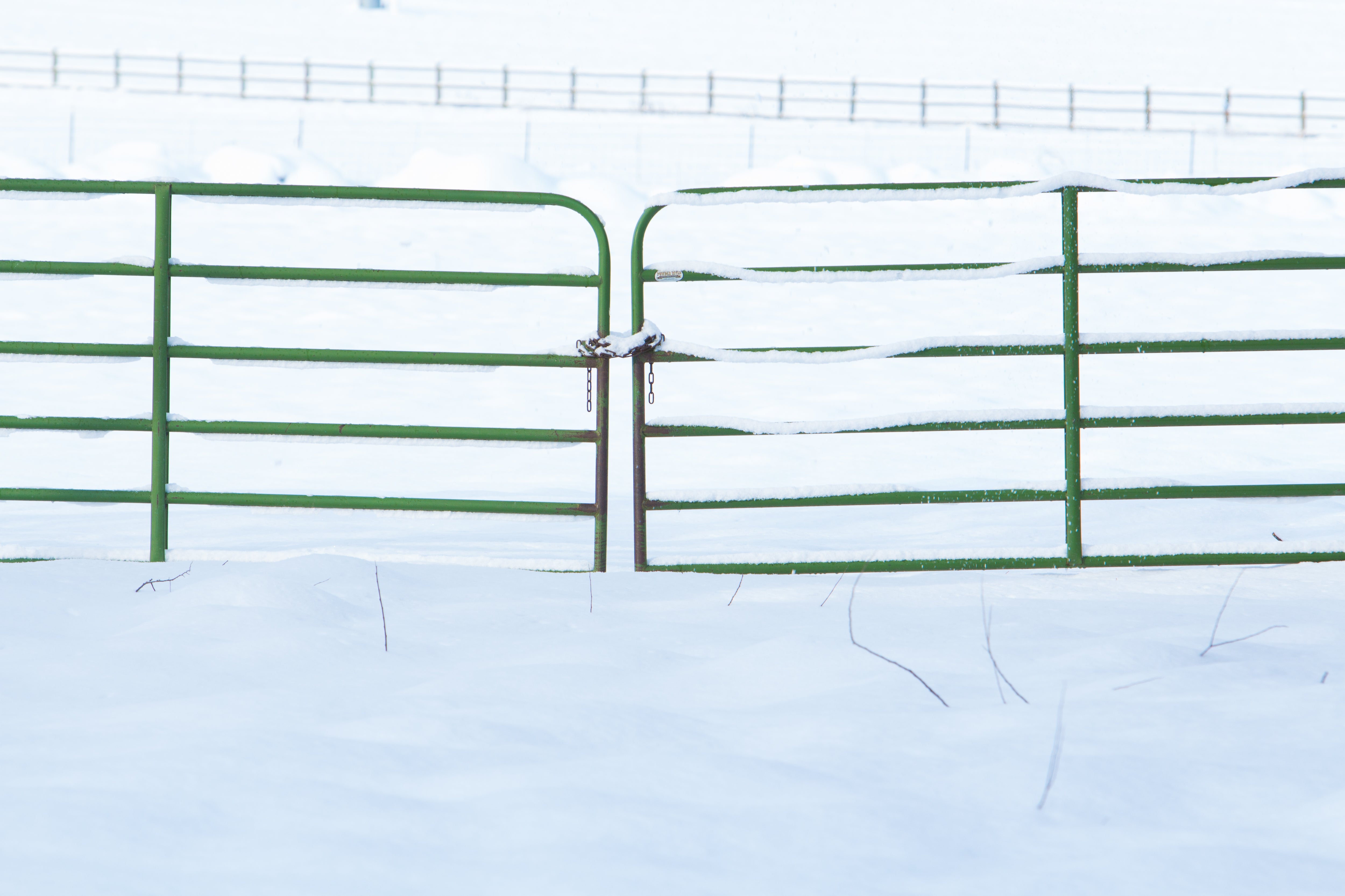 Green Ranch Gate, Jules Frazier Fine Art Photograph