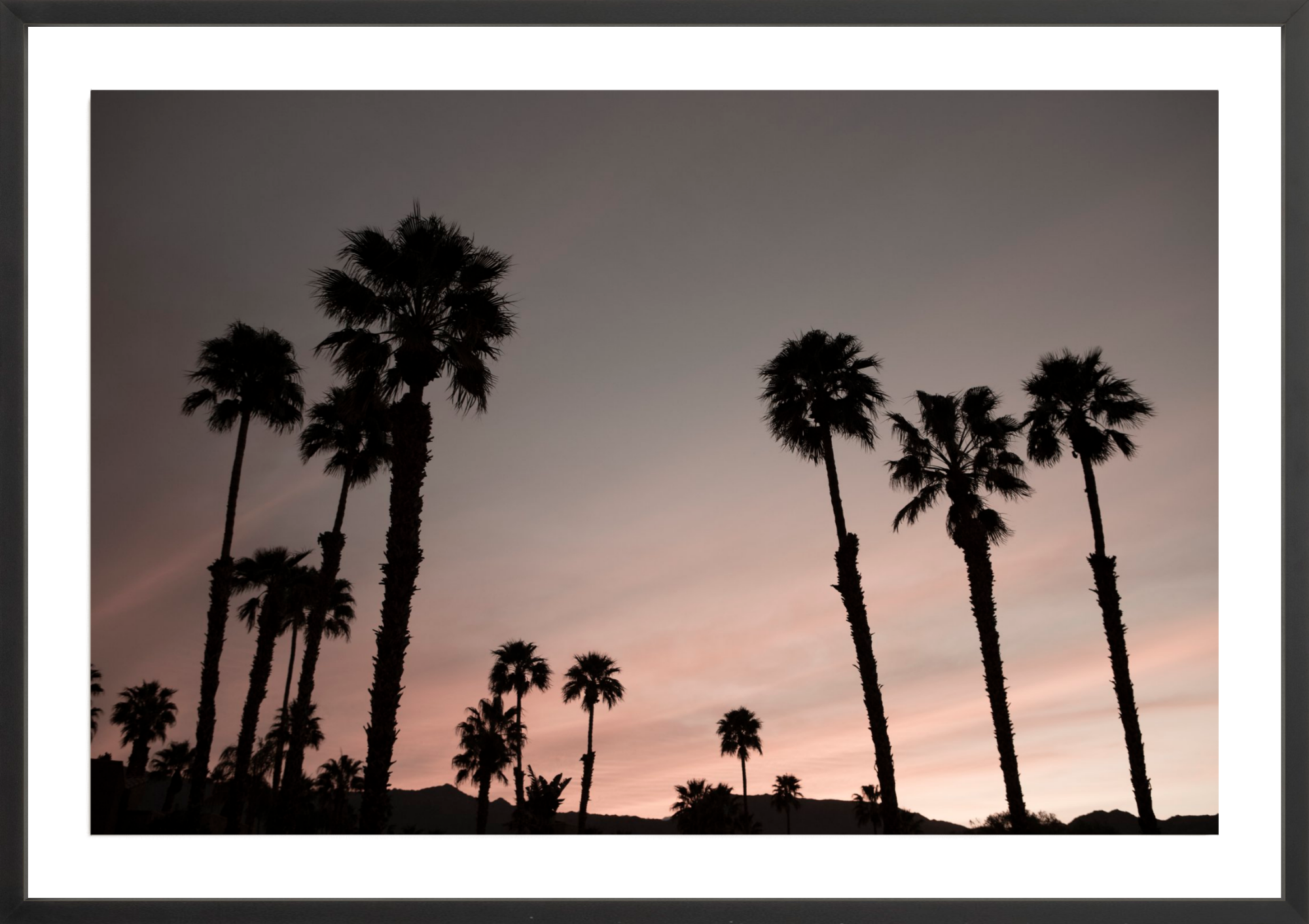 Ironwood Palms, Jules Frazier Fine Art Photograph