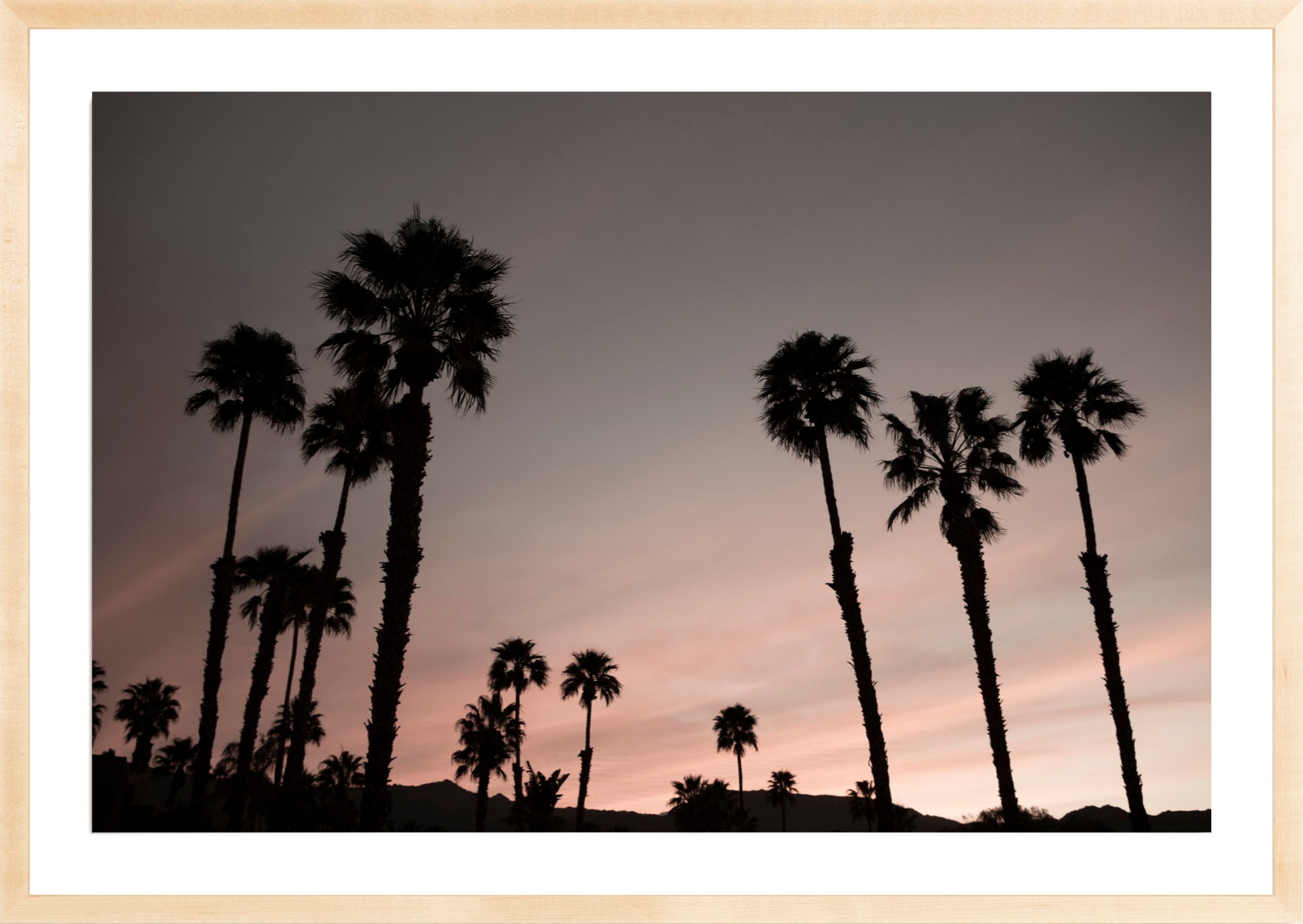 Ironwood Palms, Jules Frazier Fine Art Photograph