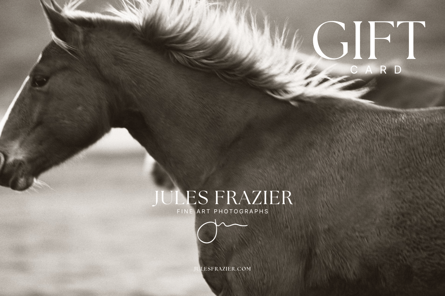  - Jules Frazier Fine Art Photographs