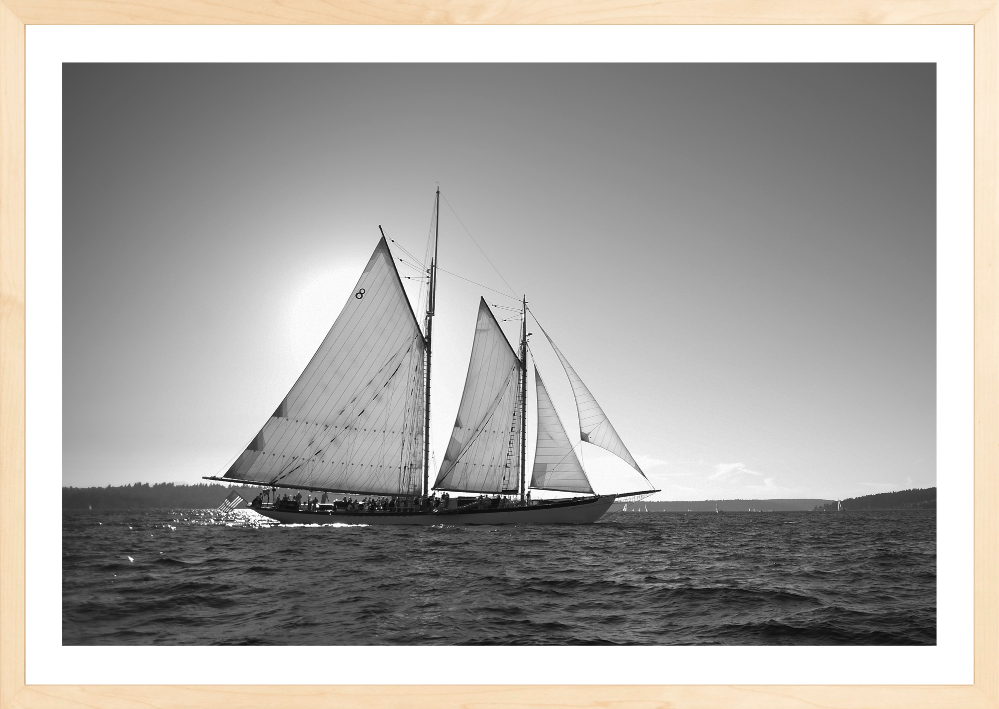 Sunset Sail