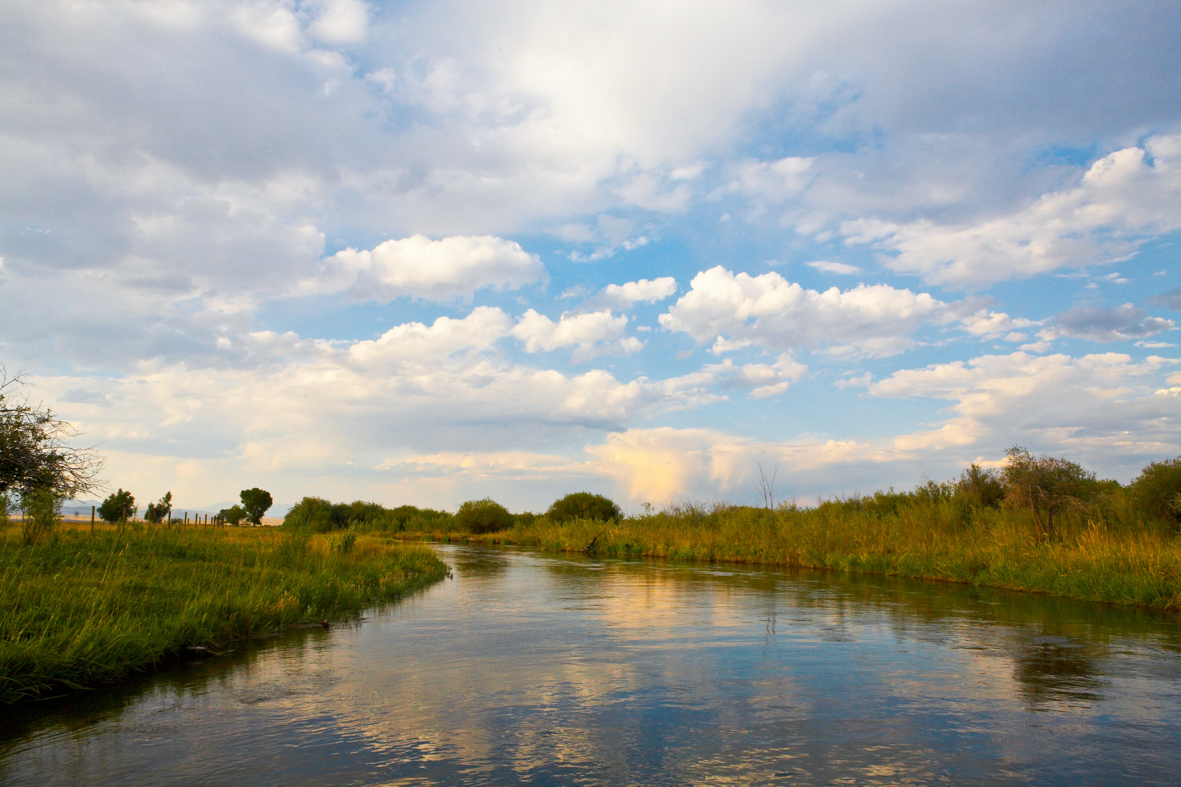 Morning on the Beaverhead, Jules Frazier Fine Art Photograph