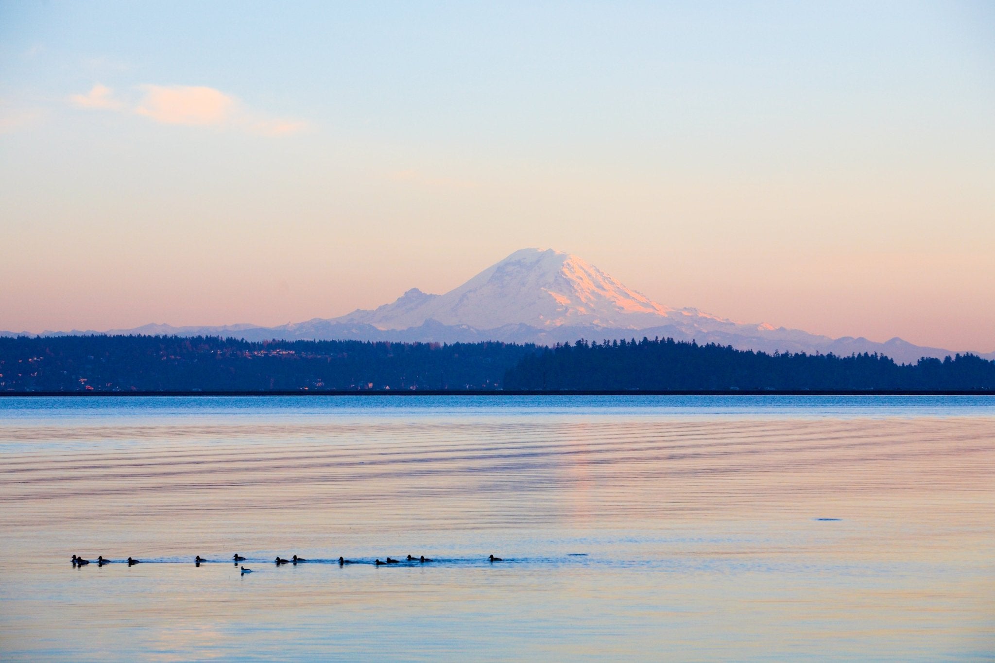 Mount Rainier at Dusk