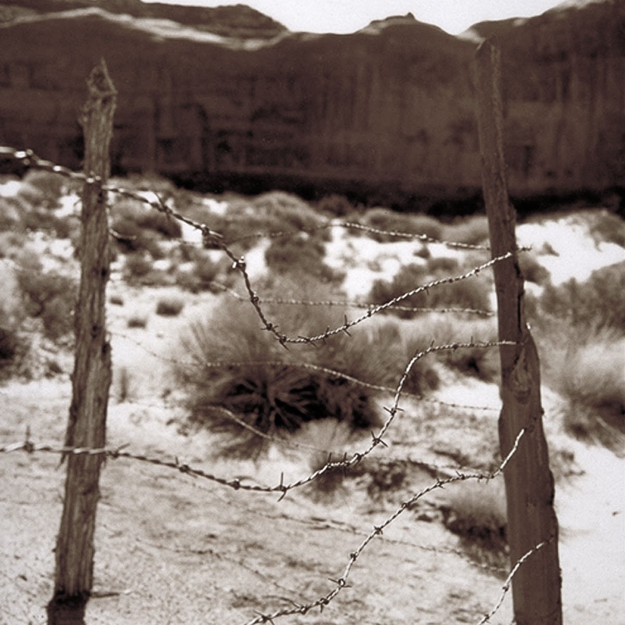 Navajo Barb Wire Fence