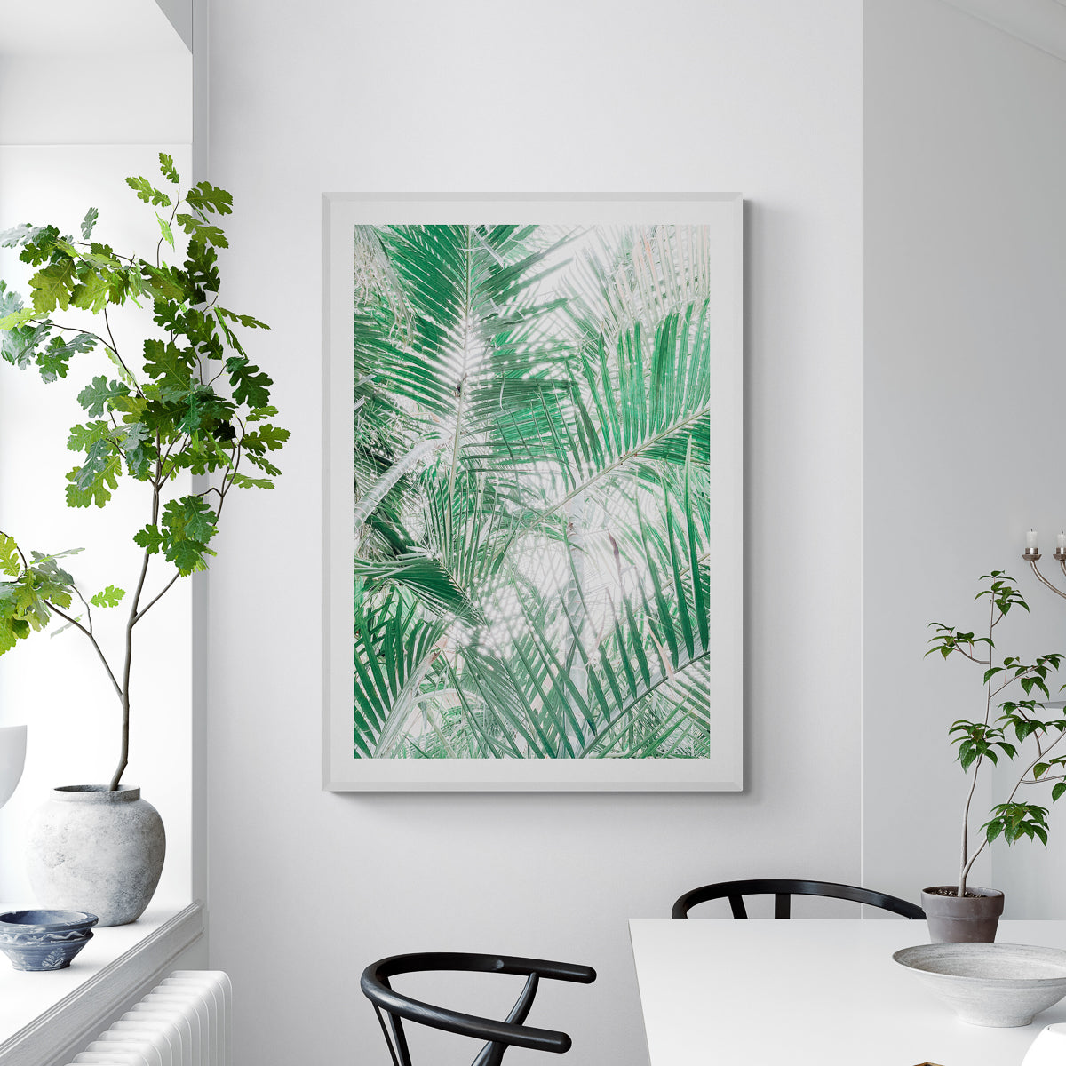 Paia Palms 2