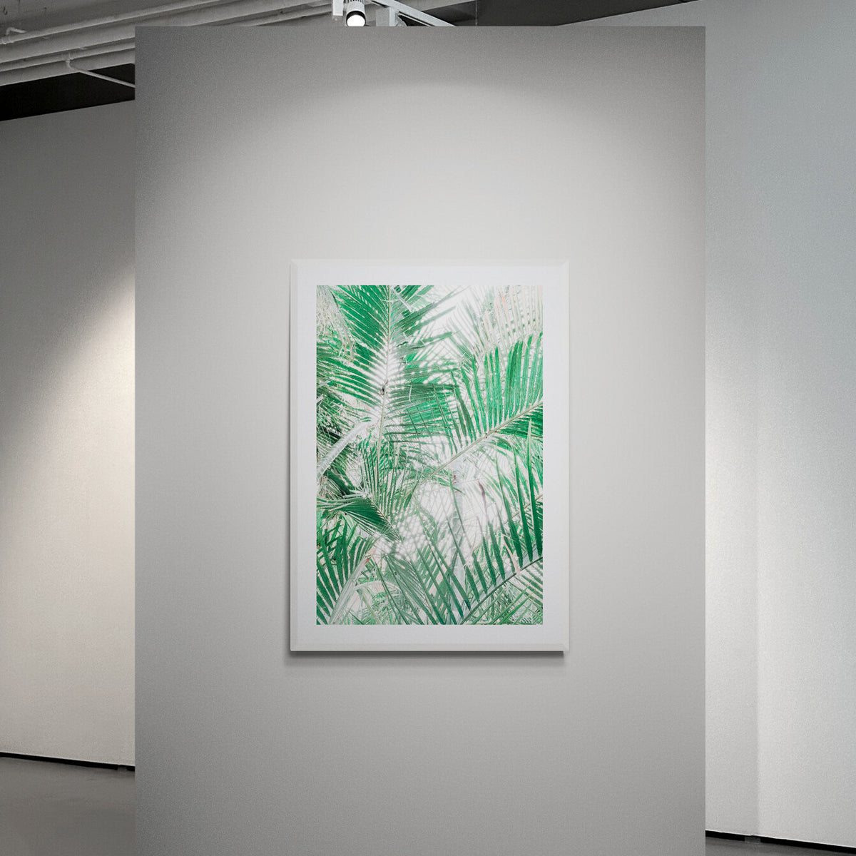 Paia Palms 2