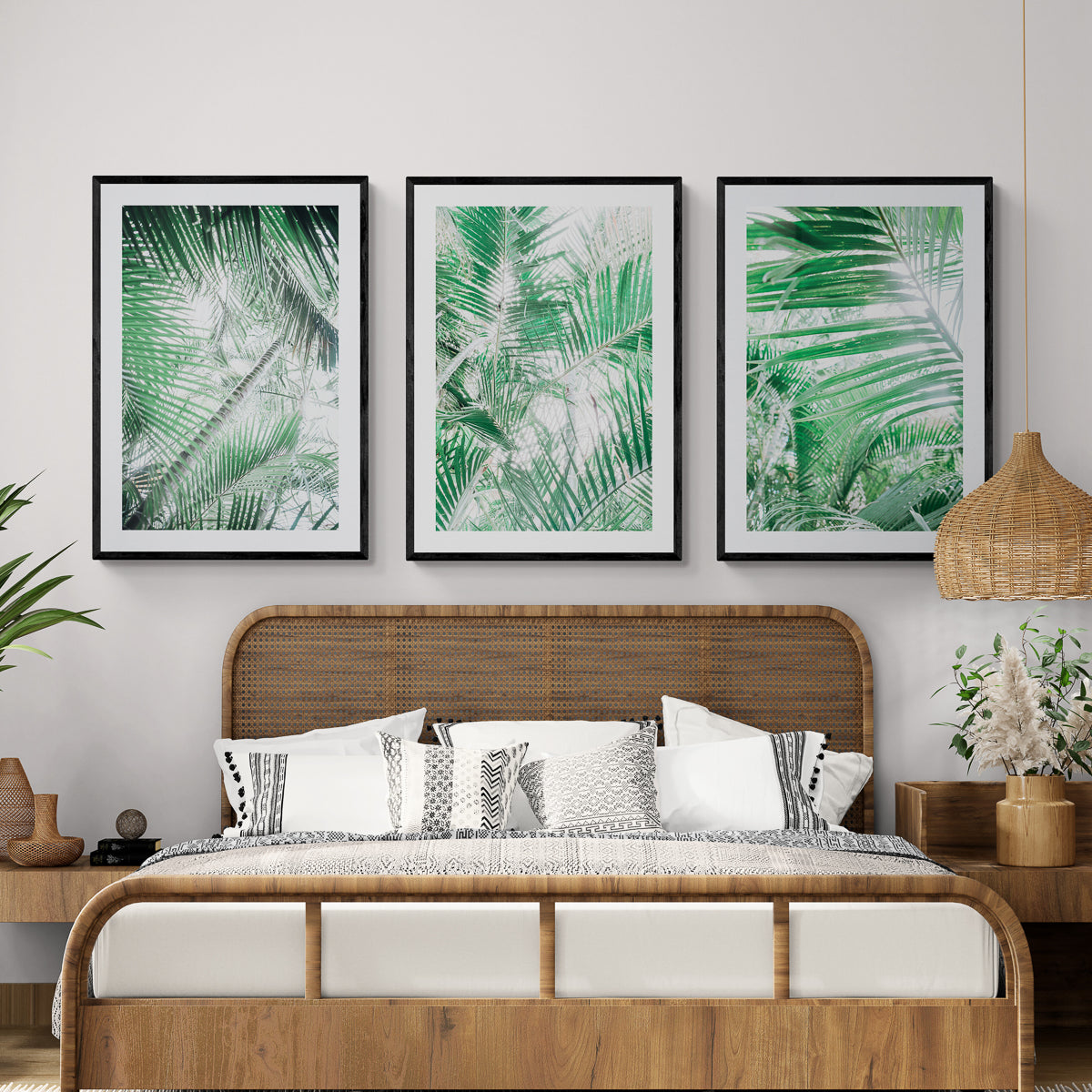 Paia Palms 2
