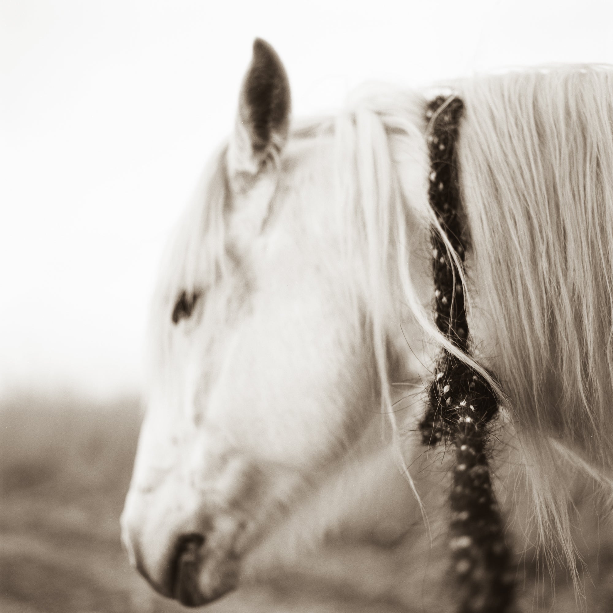  - Jules Frazier Fine Art Photographs