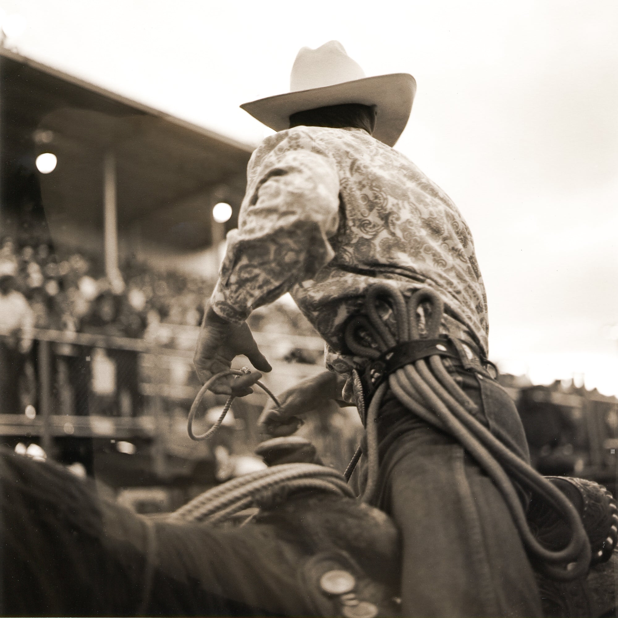 Reno Cowboy