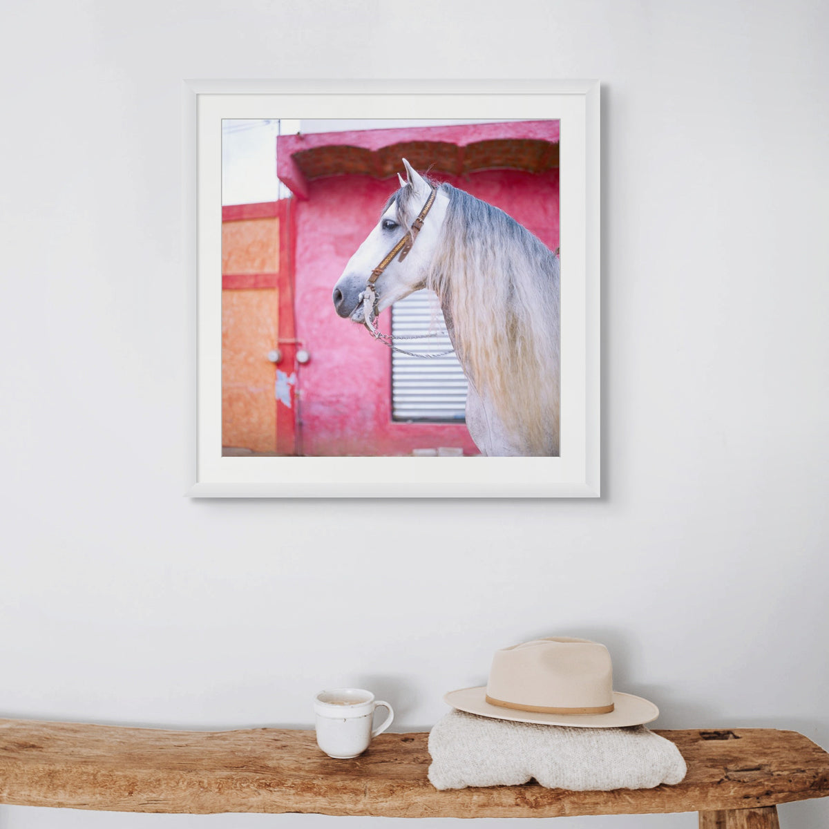 Sayulita Stallion