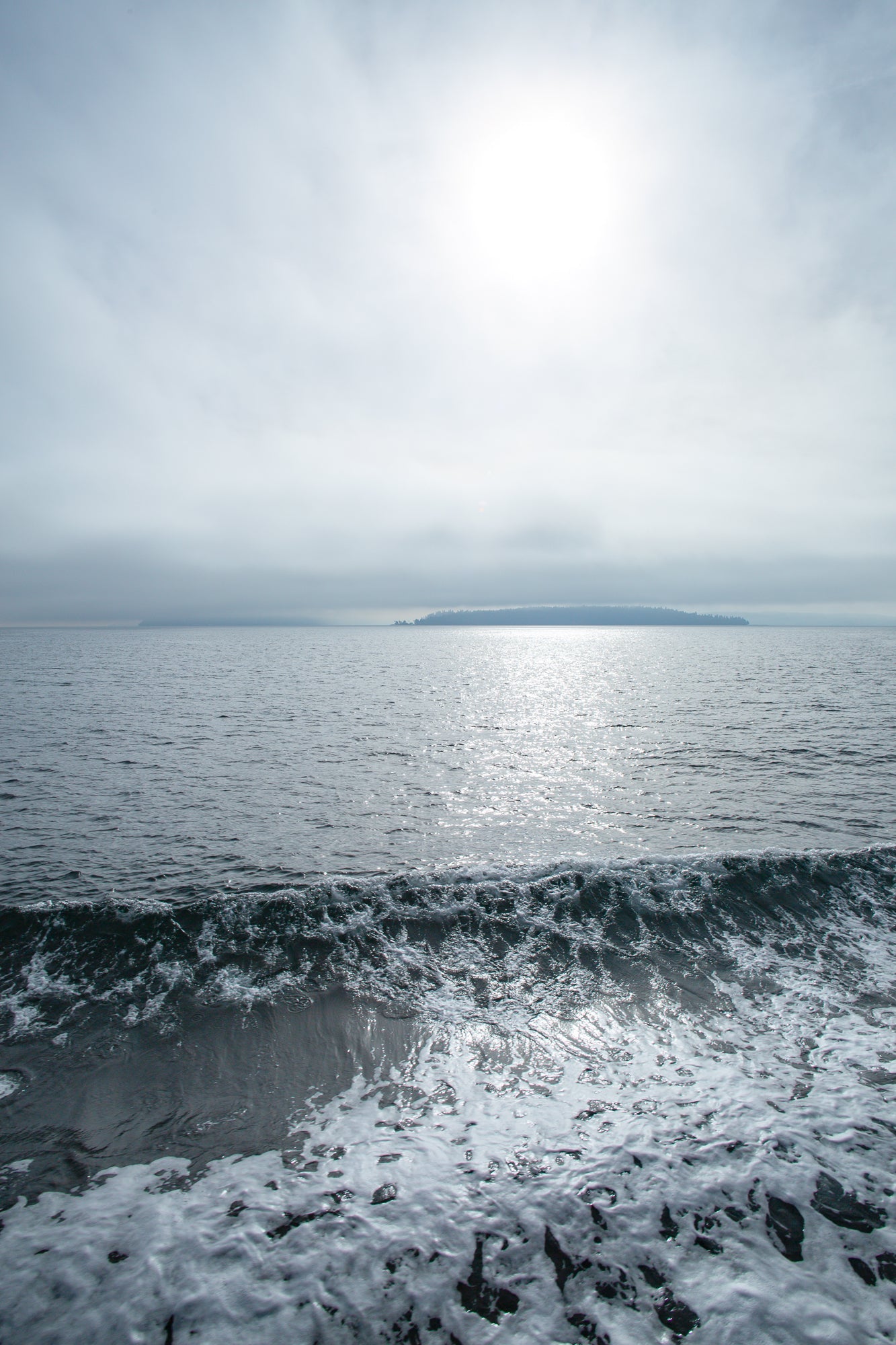 Sea Journey