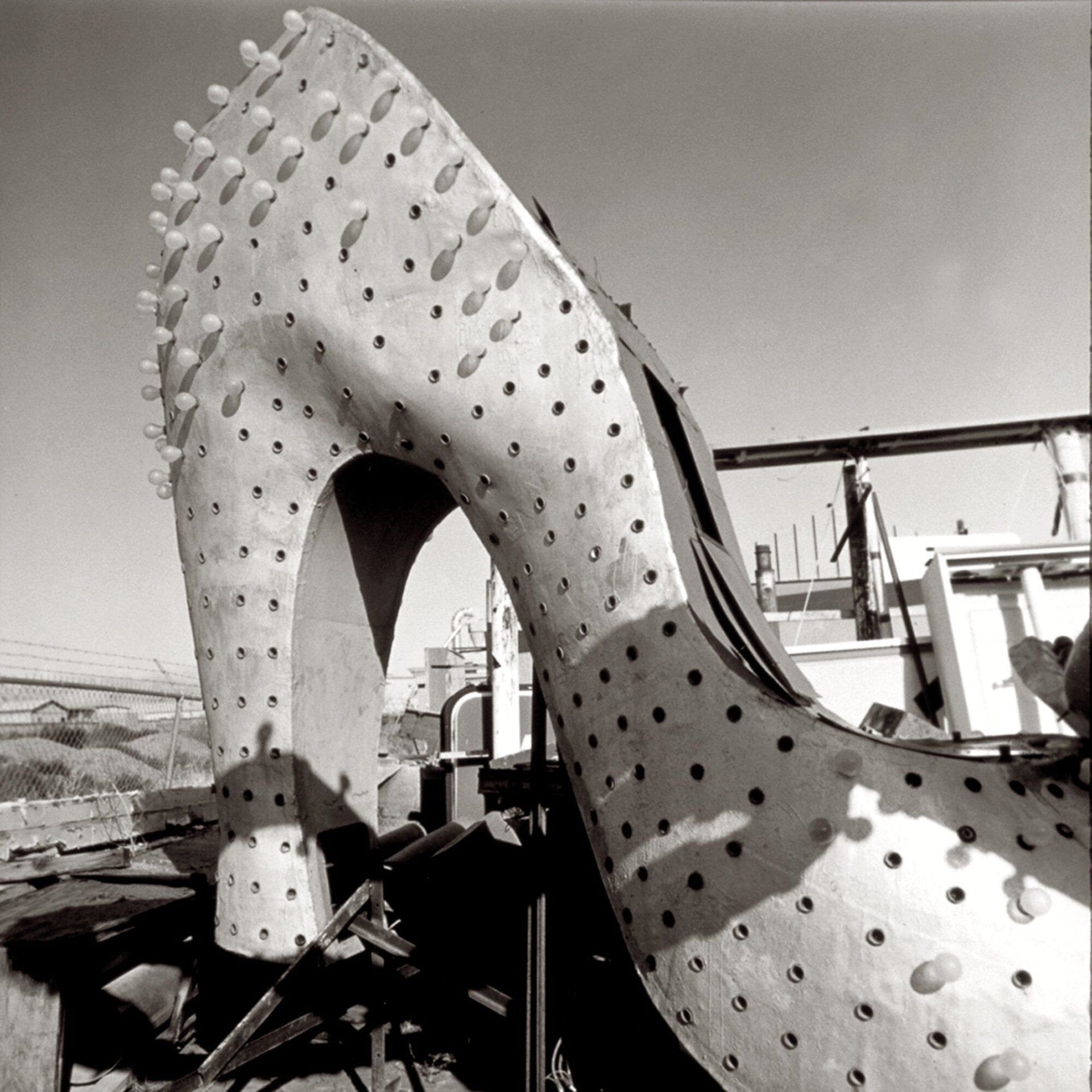 Silver Slipper, Jules Frazier Fine Art Photograph