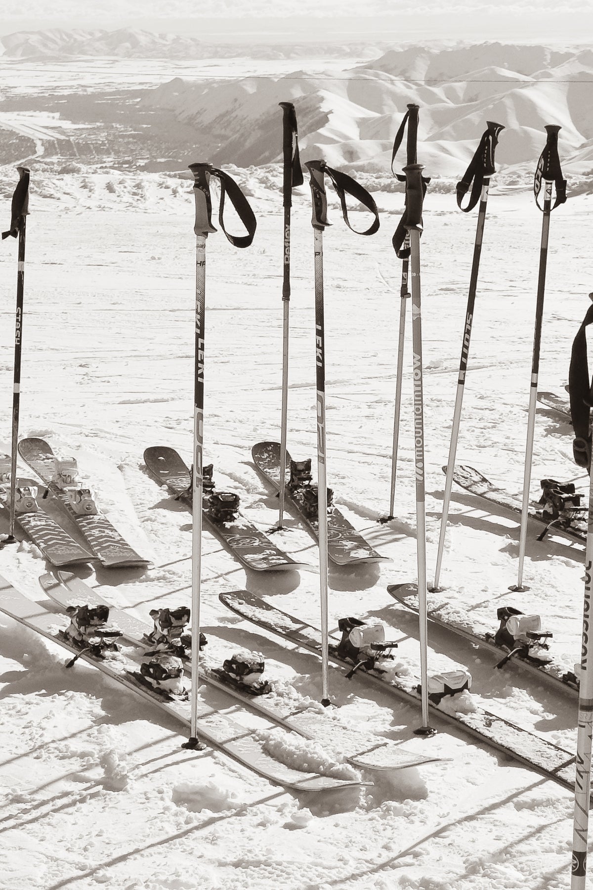 Ski Tribe Sun Valley