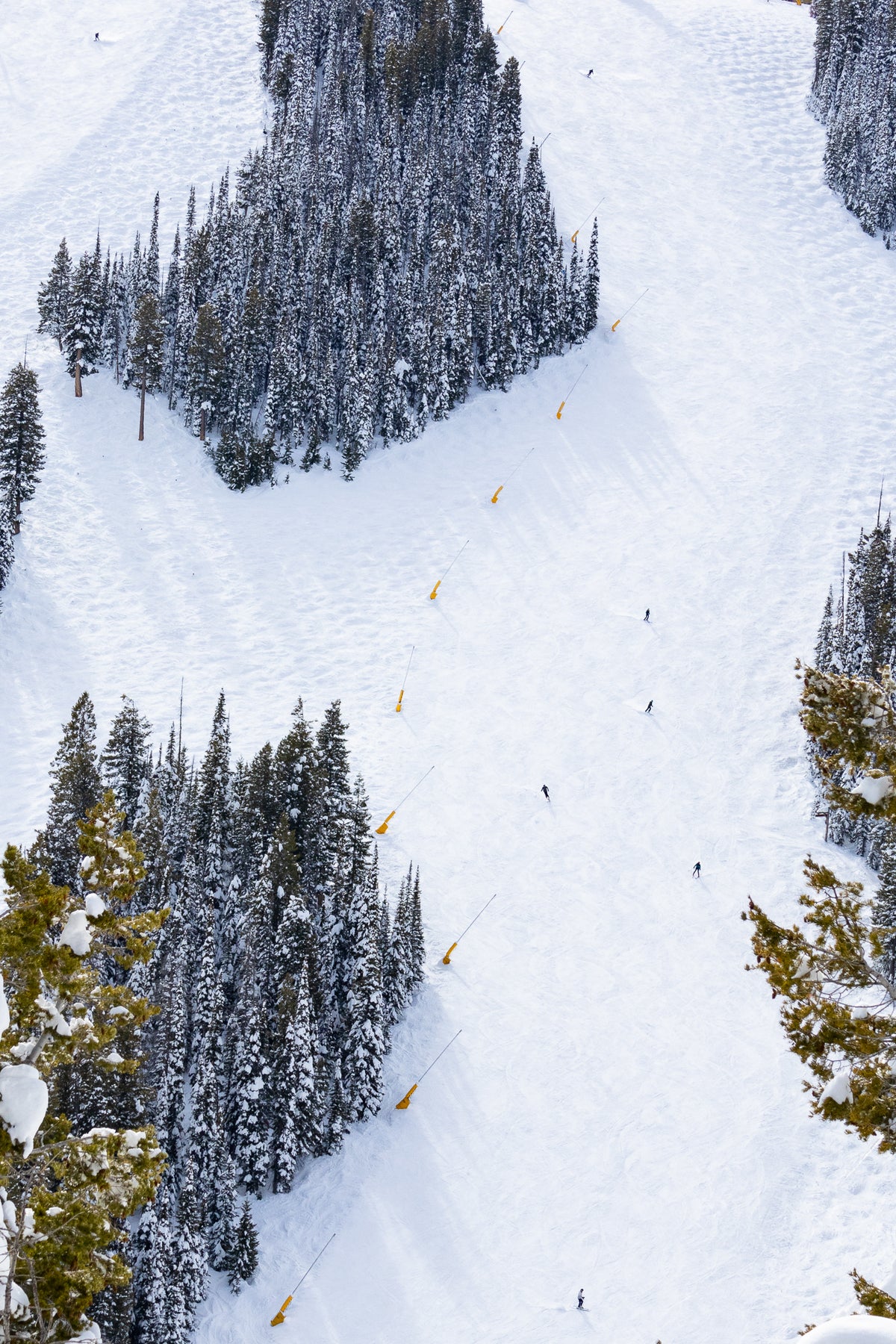 Skiiers Fall Line