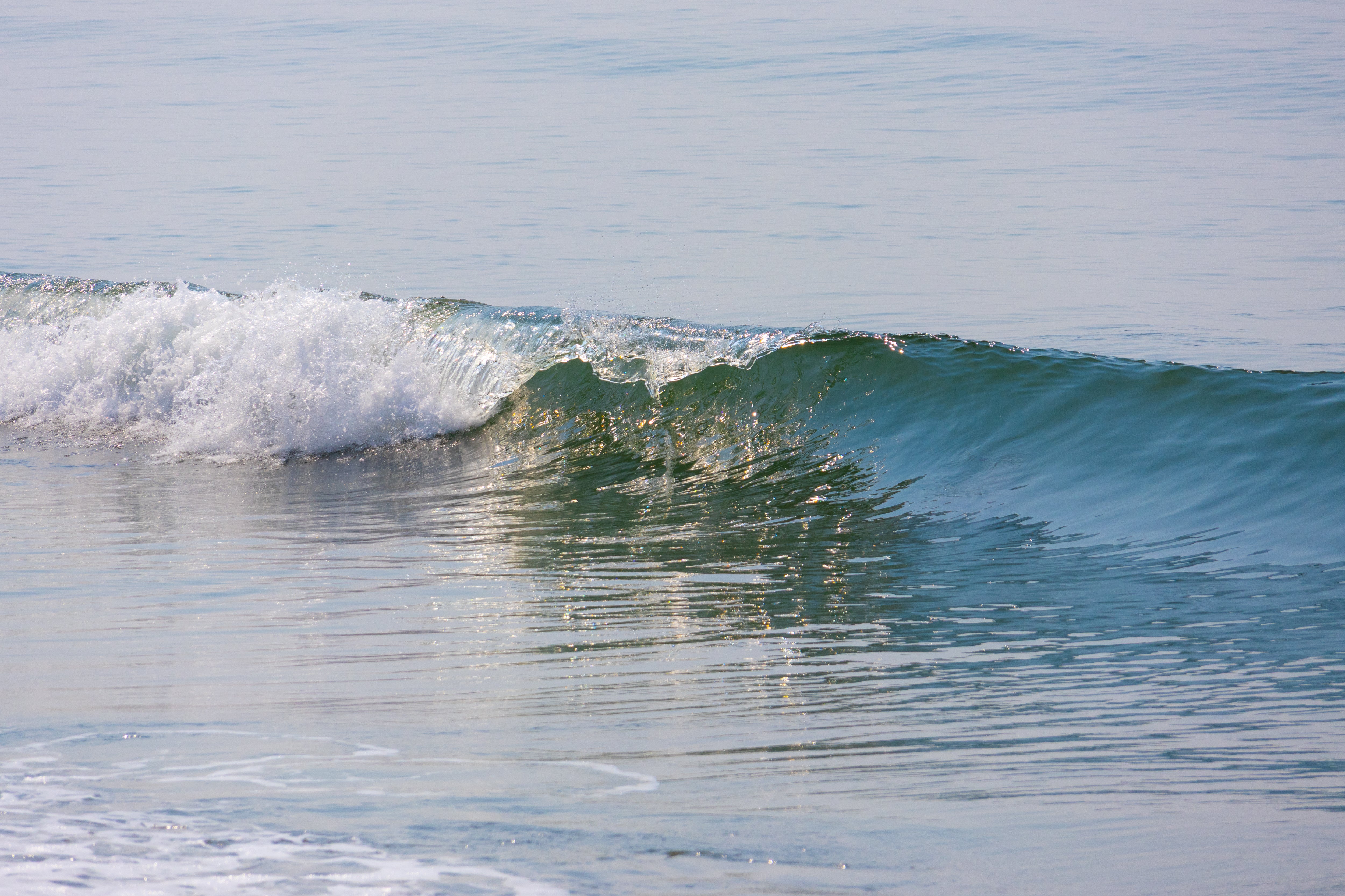 Summer Velvet Wave