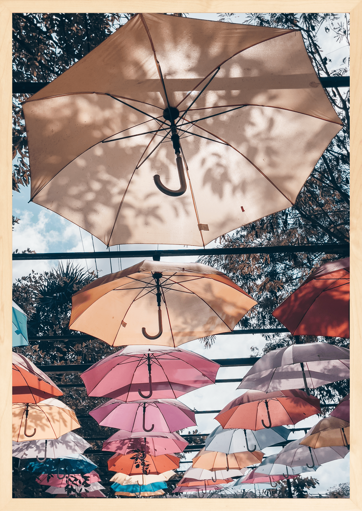  - Jules Frazier Fine Art Photographs