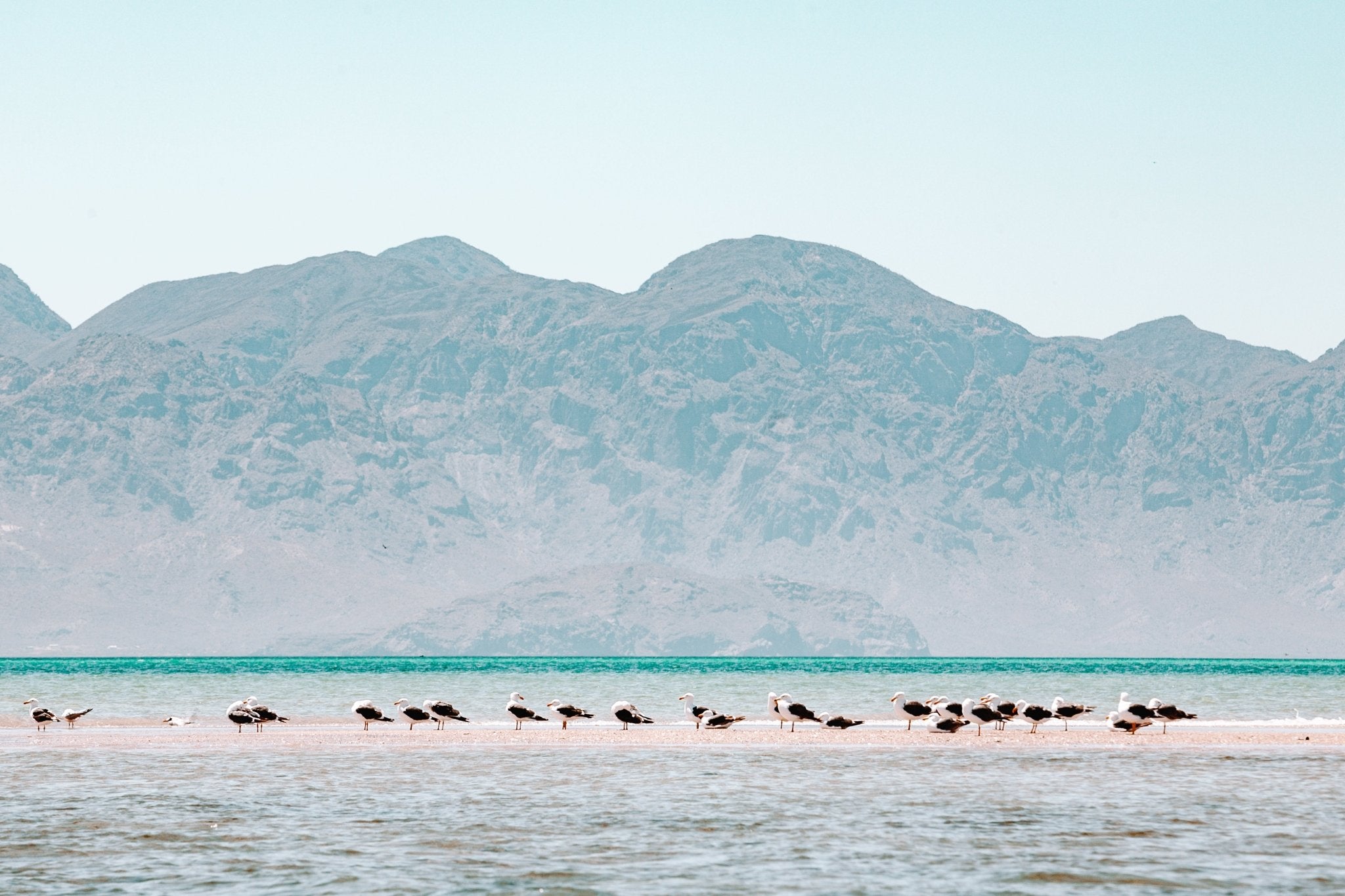  - Jules Frazier Fine Art Photographs