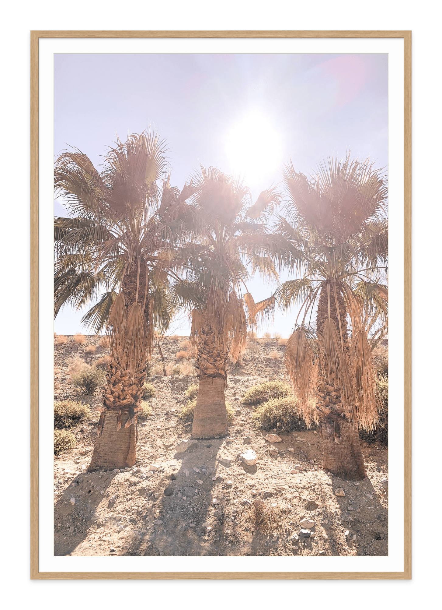  - Jules Frazier Fine Art Photographs